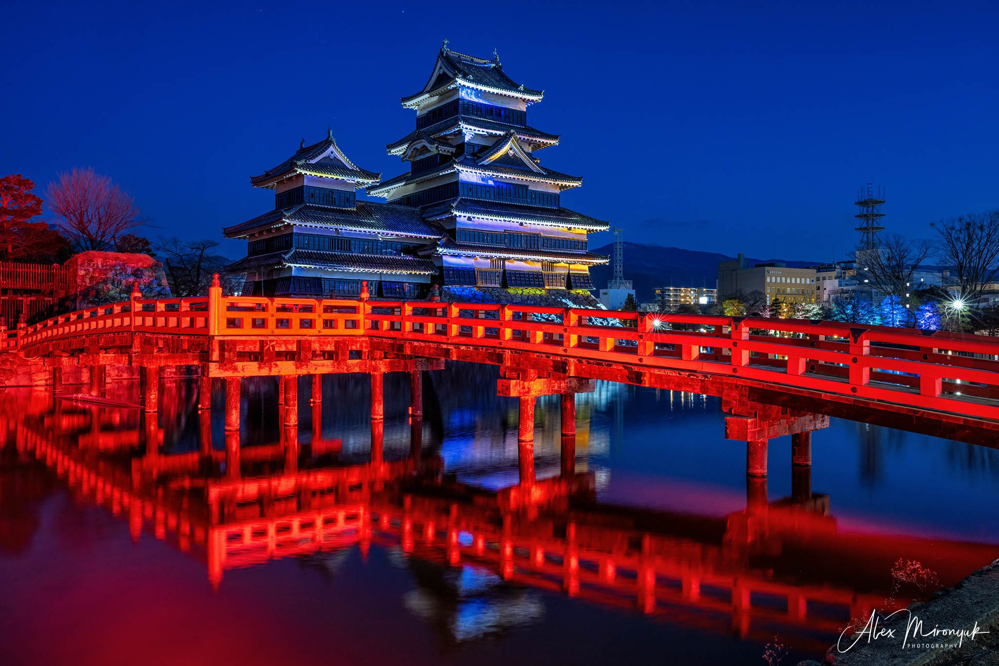Winter Japan: Snow Monkeys, Castles & Timeless Villages. Pet, Senior, Landscape, portrait studio, photographer in Miami and Sou