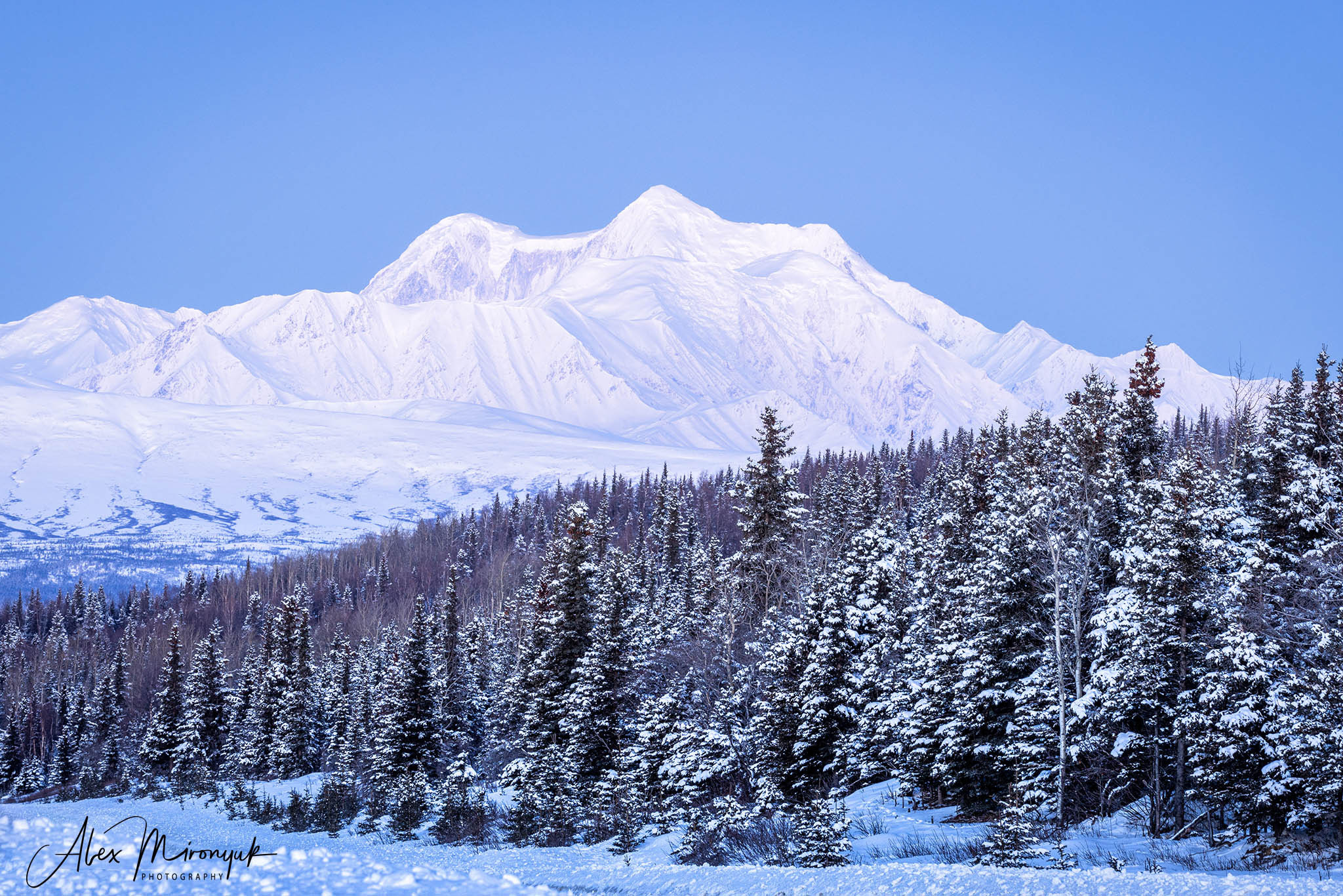 Ice Caves Adventure. Pet, Senior, Landscape, portrait studio, photographer in Miami and Sou
