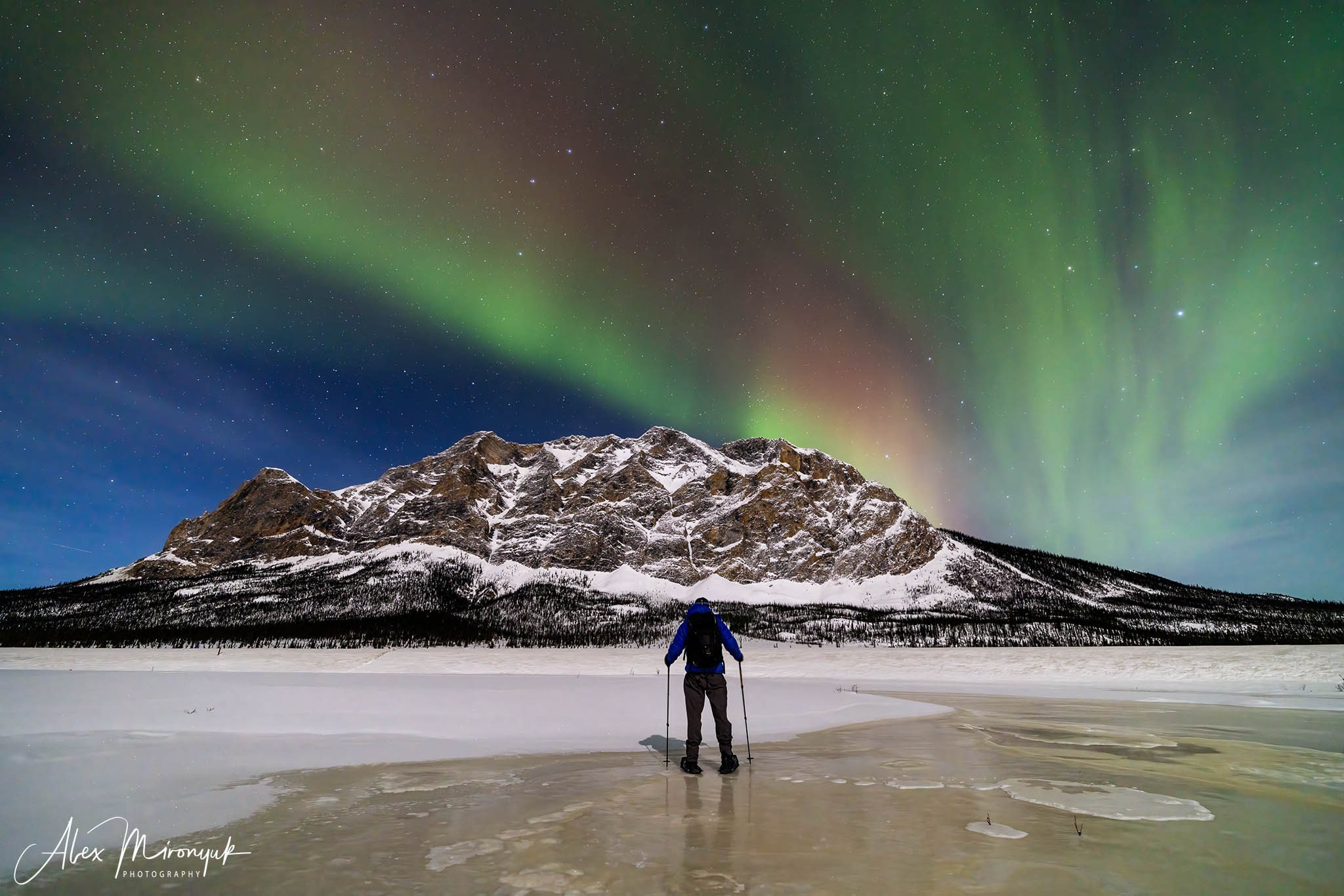 Chasing the Aurora Borealis. Pet, Senior, Landscape, portrait studio, photographer in Miami and Sou