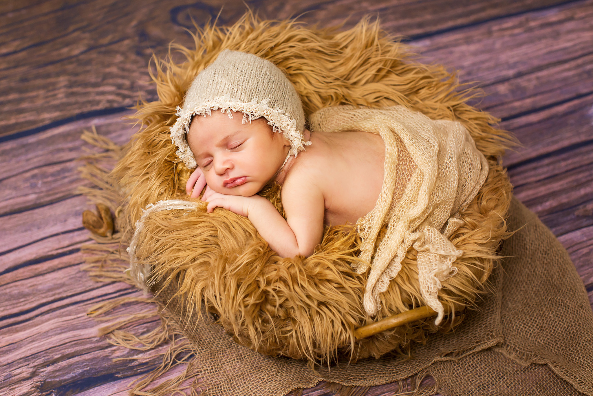 Photo session Miami price. Miami Family and Event Photographer