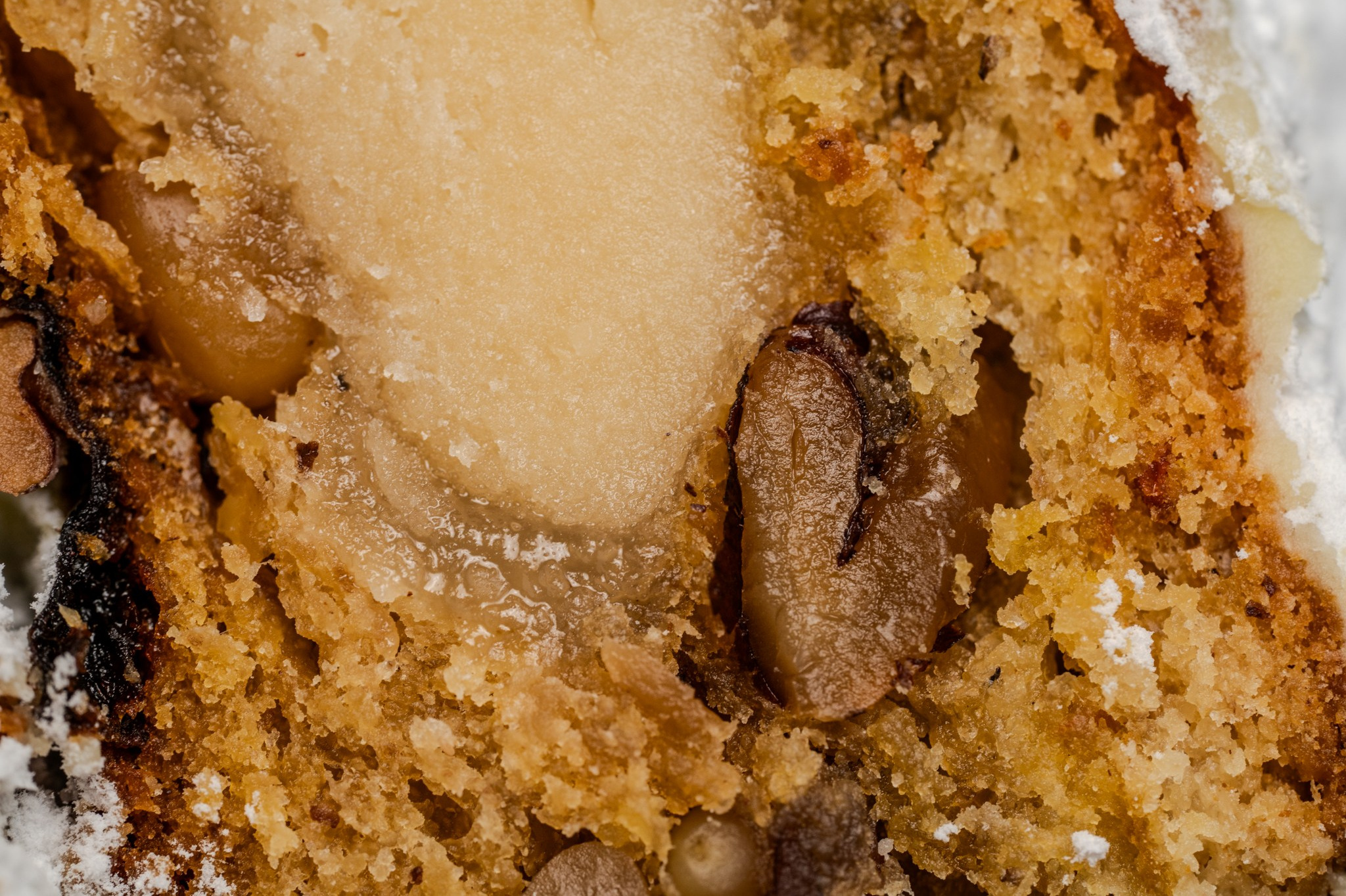 Zakhar Leshkov Photo