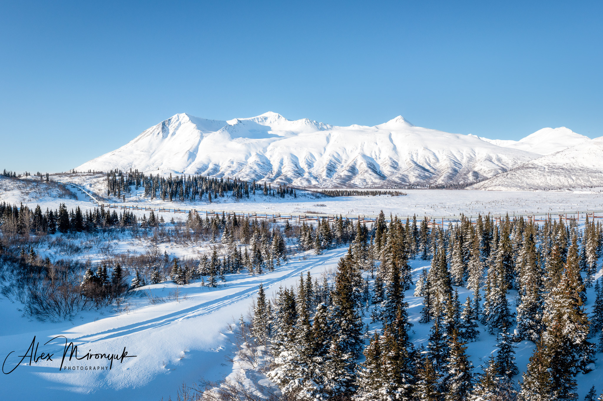 Ice Caves Adventure. Pet, Senior, Landscape, portrait studio, photographer in Miami and Sou