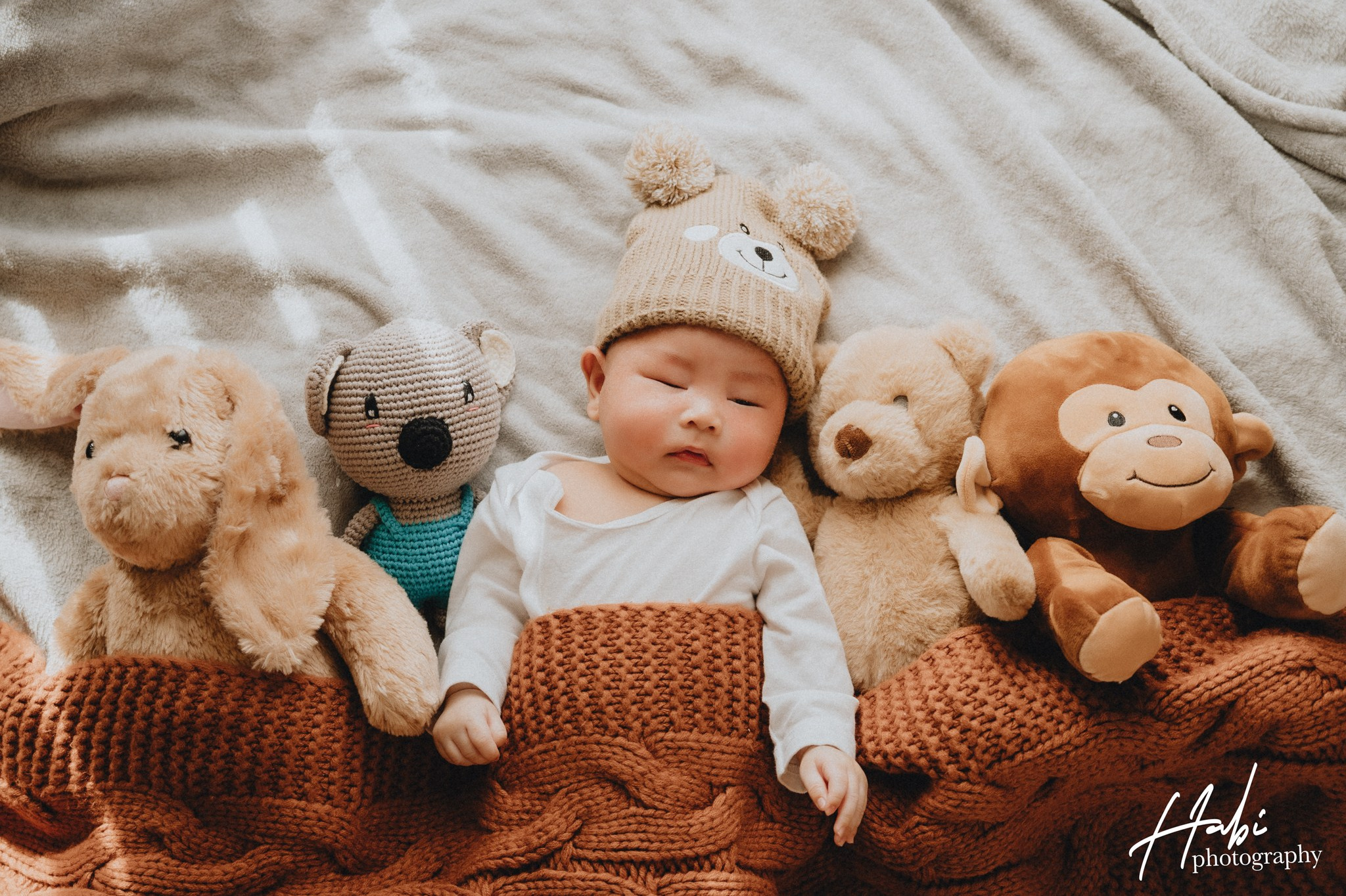 Services. HABIPHOTO MELBOUNE