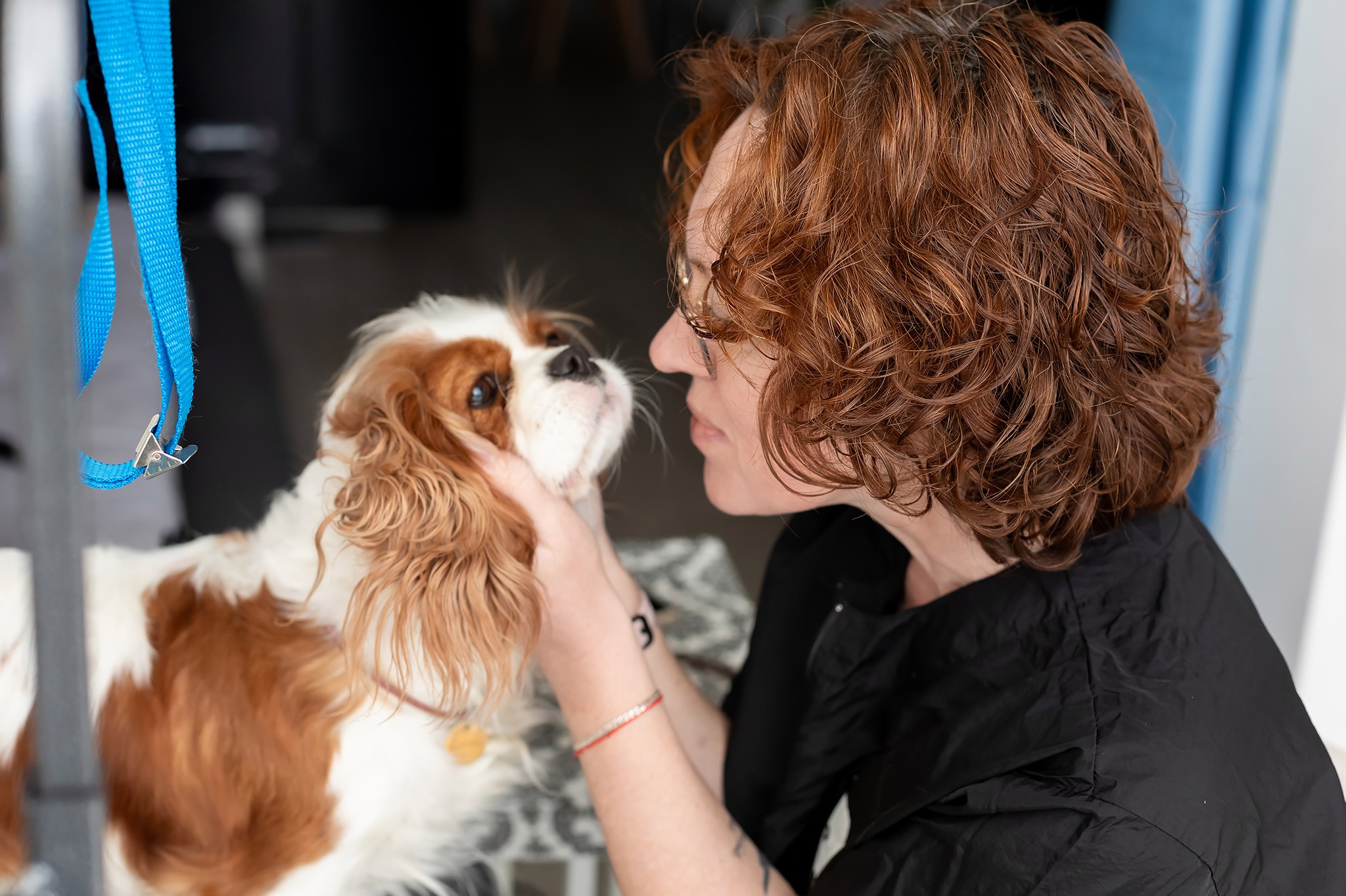 профессиональный грумер в Хайфе