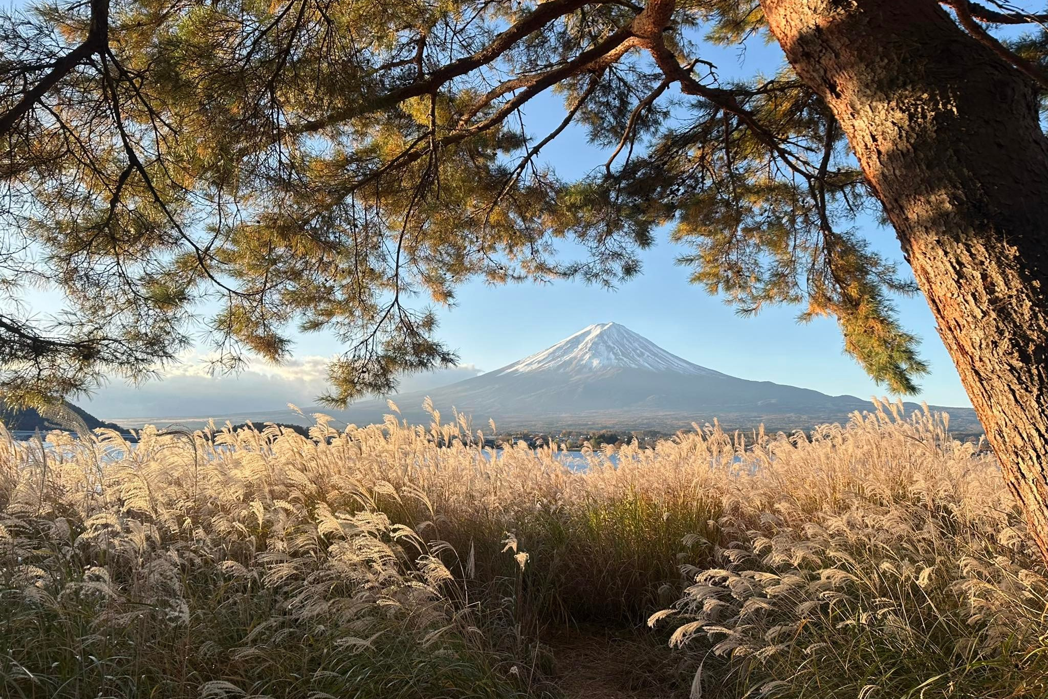 CAFE DEL PHOTO #92 «То что останется». Școala de fotografie lui Roman Ribaliov. Orașul Chișinău, Moldova