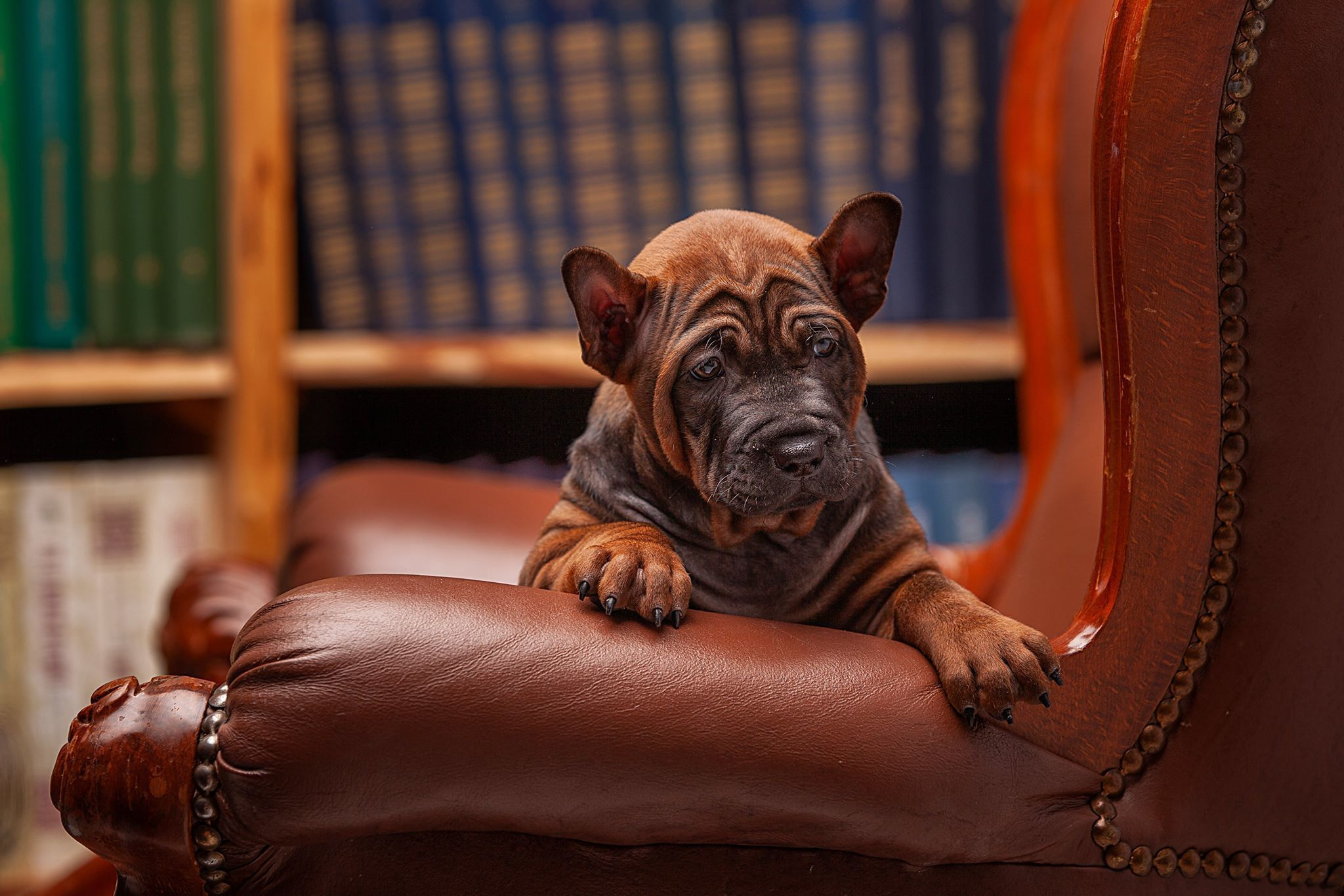 Photography. Maksim Bogdanets Photography