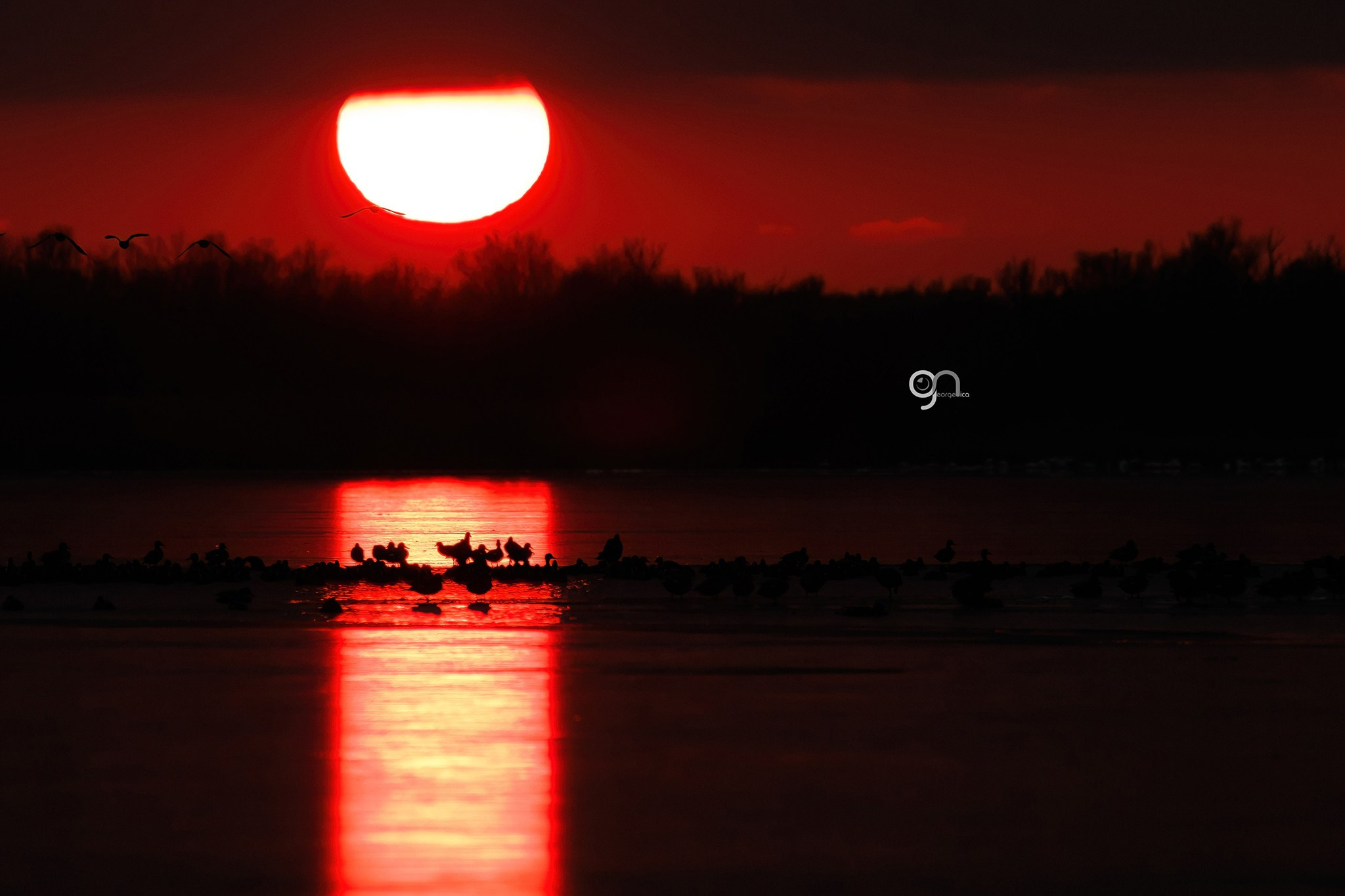 Fotograf Nuntă Tulcea — George Nica | Foto și Video Nuntă