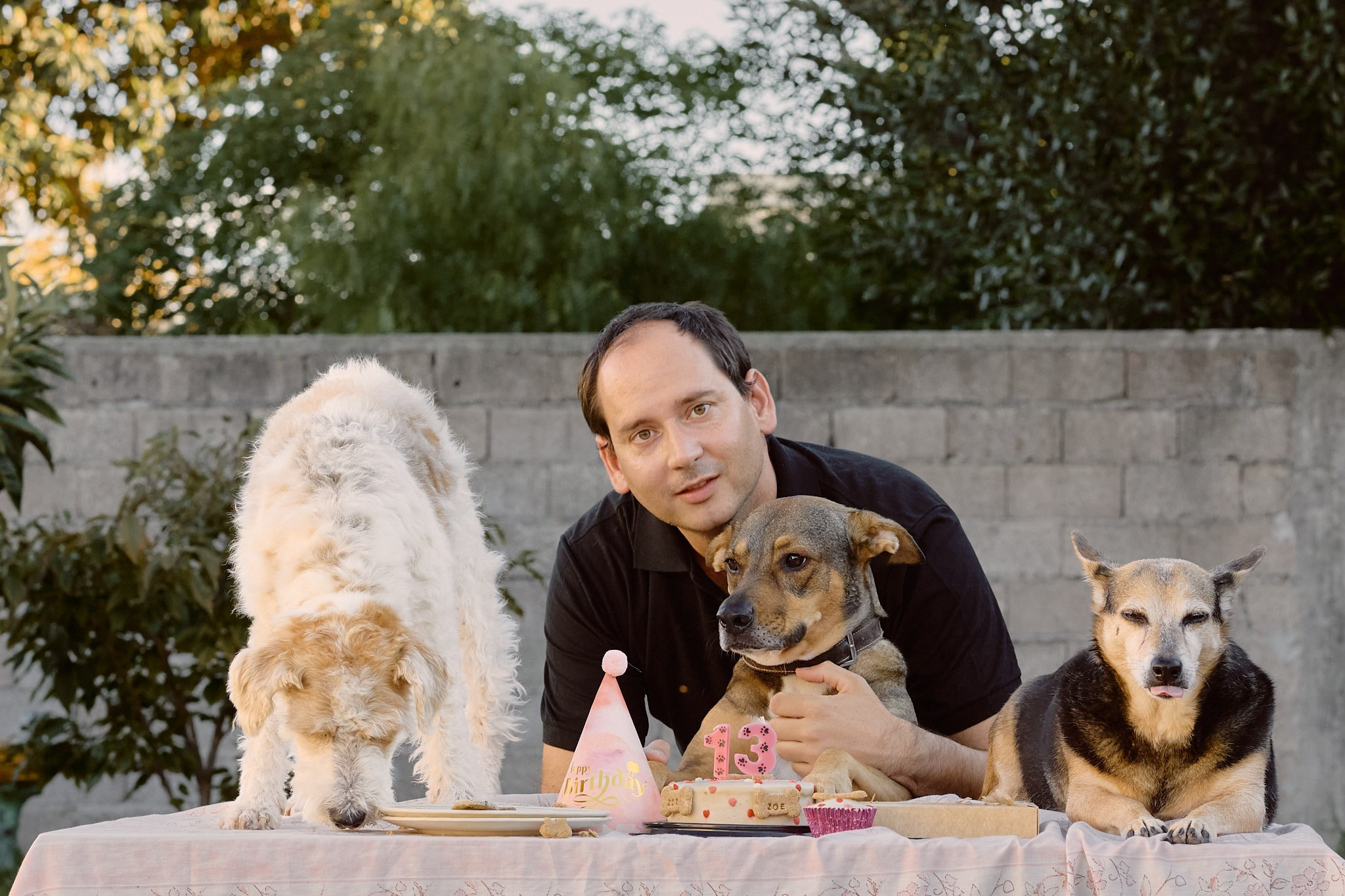Zoe cumple 13 años: una celebración íntima desde la mirada de un fotógrafo de mascotas. Valssy – Fotografía de mascotas en Uruguay. Retratos profesionales de perros y gatos