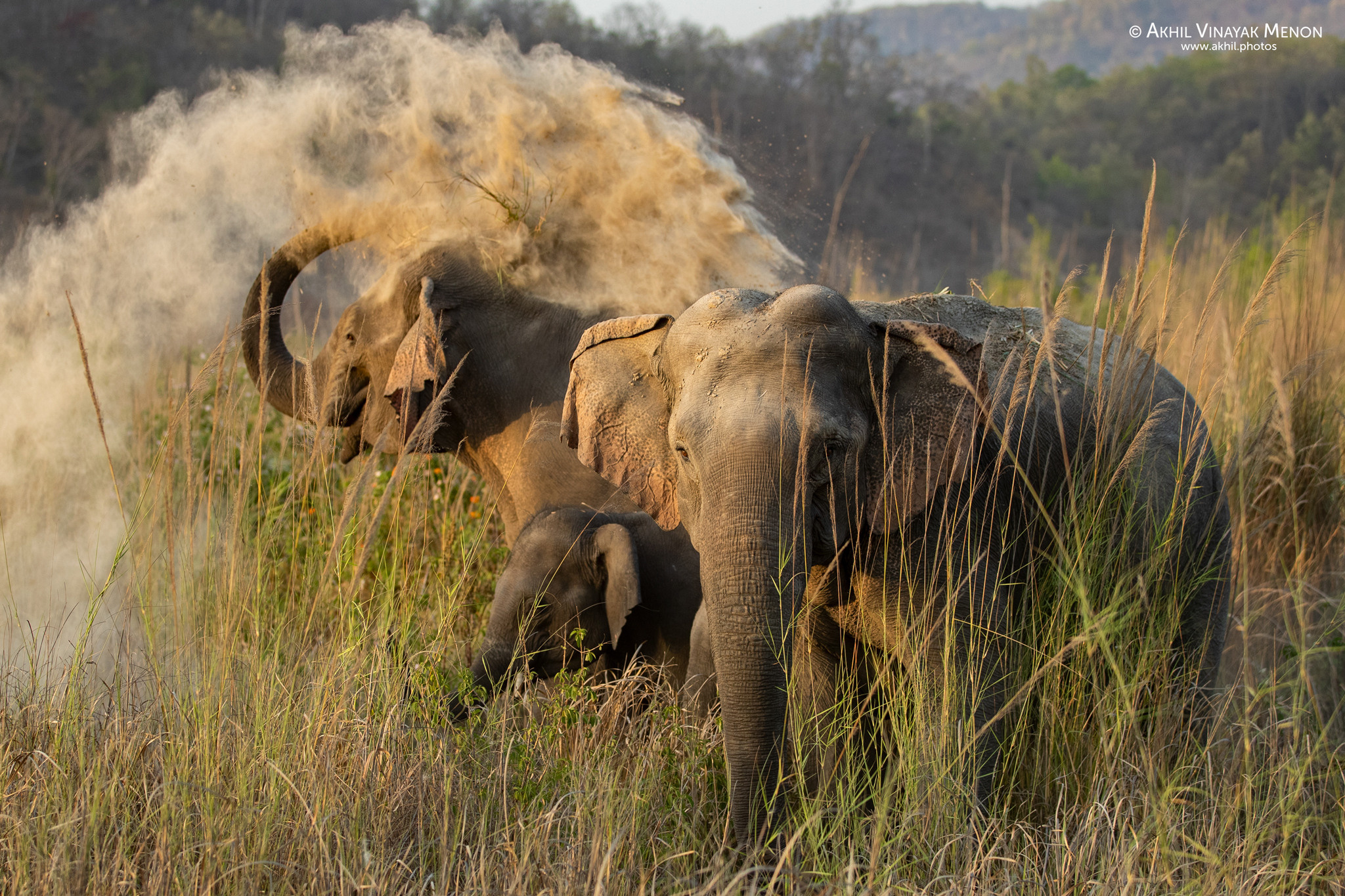 One of my scariest wildlife moments…. Akhil Vinayak Menon Photography