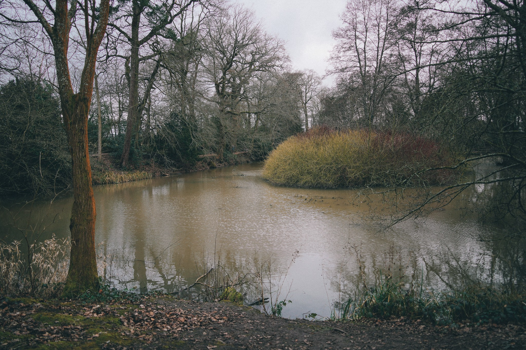 Lake and historic trees at Baddesley Clinton Warwickshire, peaceful countryside photography location near Solihull