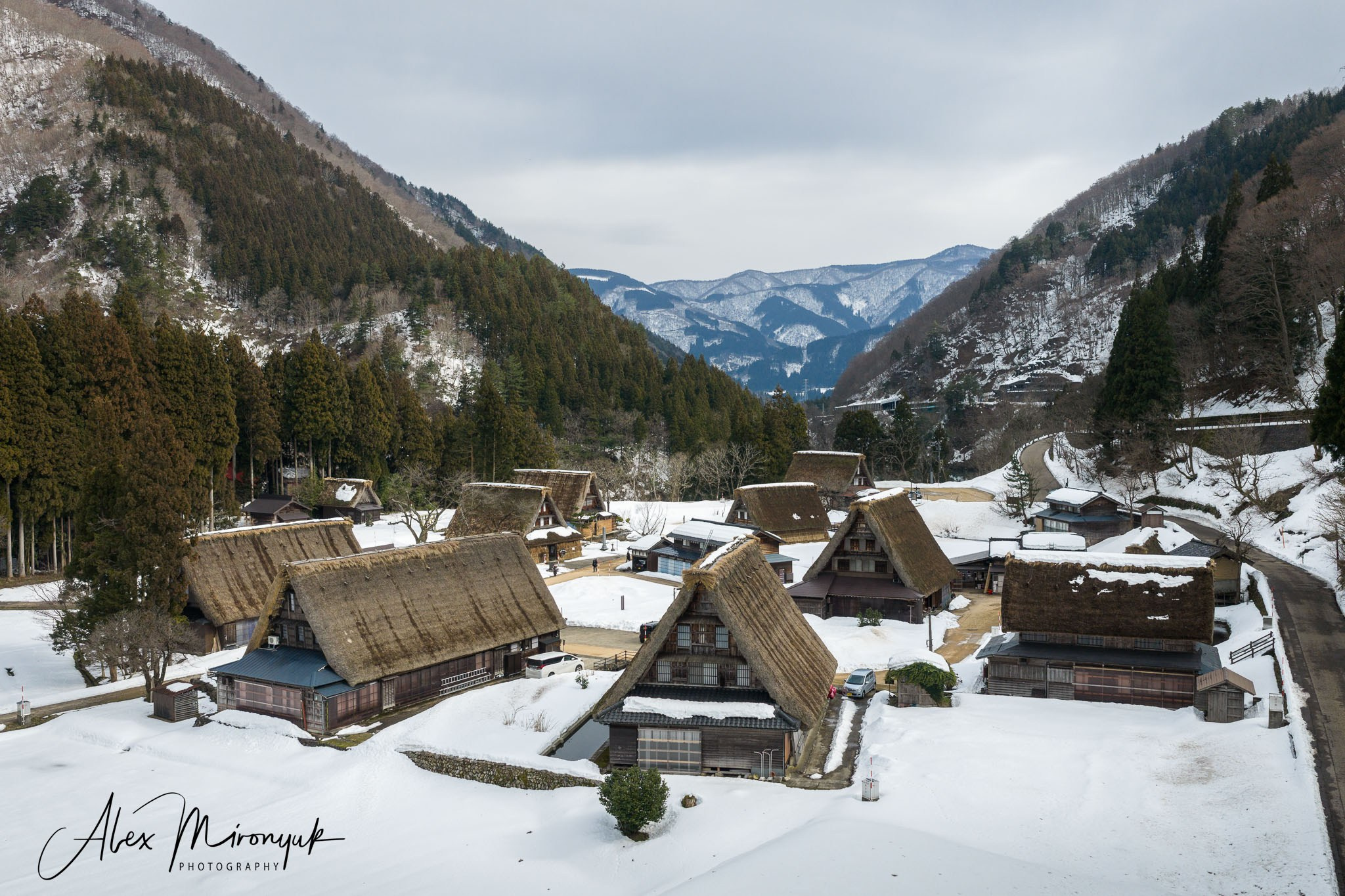 Winter Japan: Snow Monkeys, Castles & Timeless Villages. Pet, Senior, Landscape, portrait studio, photographer in Miami and Sou