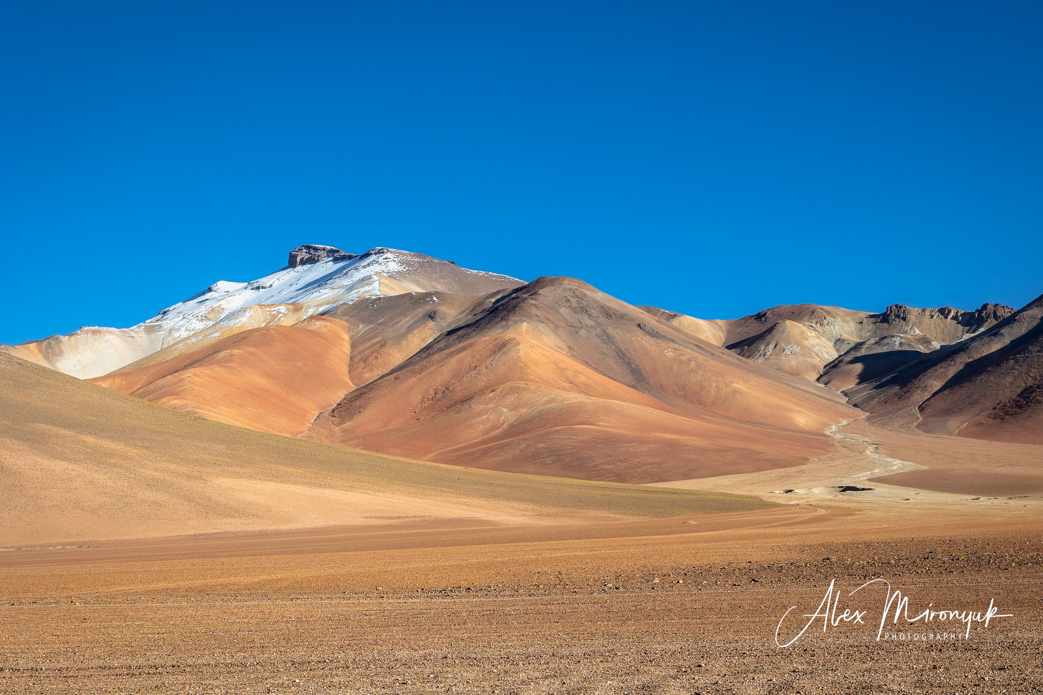 Bolivia Adventure. Pet, Senior, Landscape, portrait studio, photographer in Miami and Sou