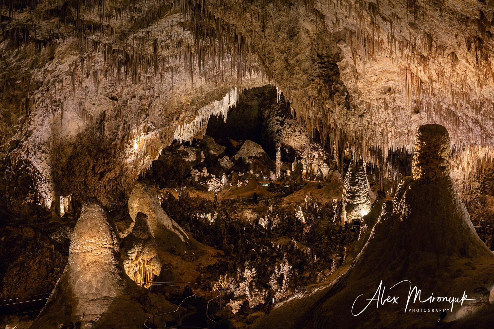 The Best of New Mexico. Pet, Senior, Landscape, portrait studio, photographer in Miami and Sou