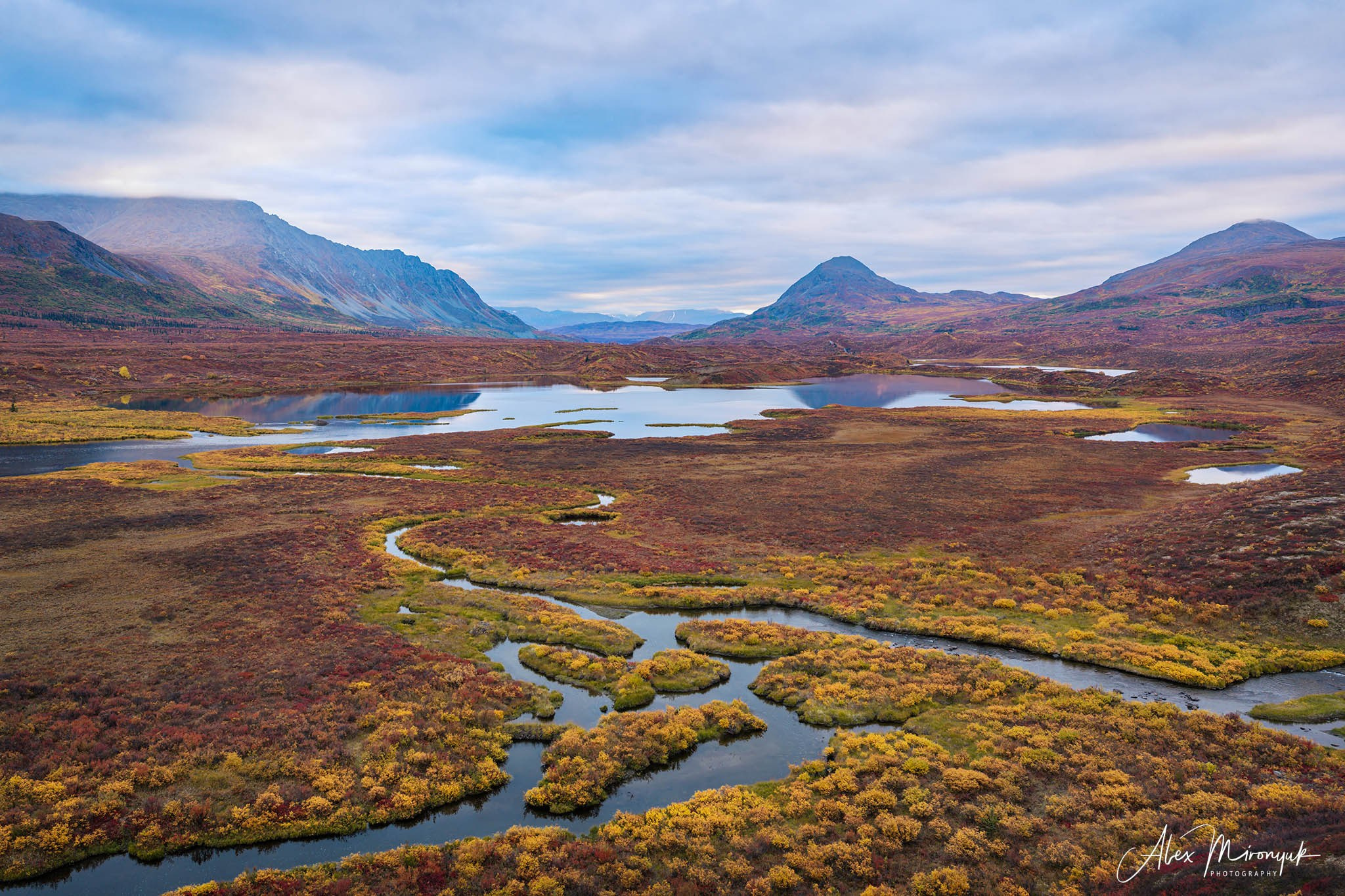 Alaskan Fall Colors. Pet, Senior, Landscape, portrait studio, photographer in Miami and Sou