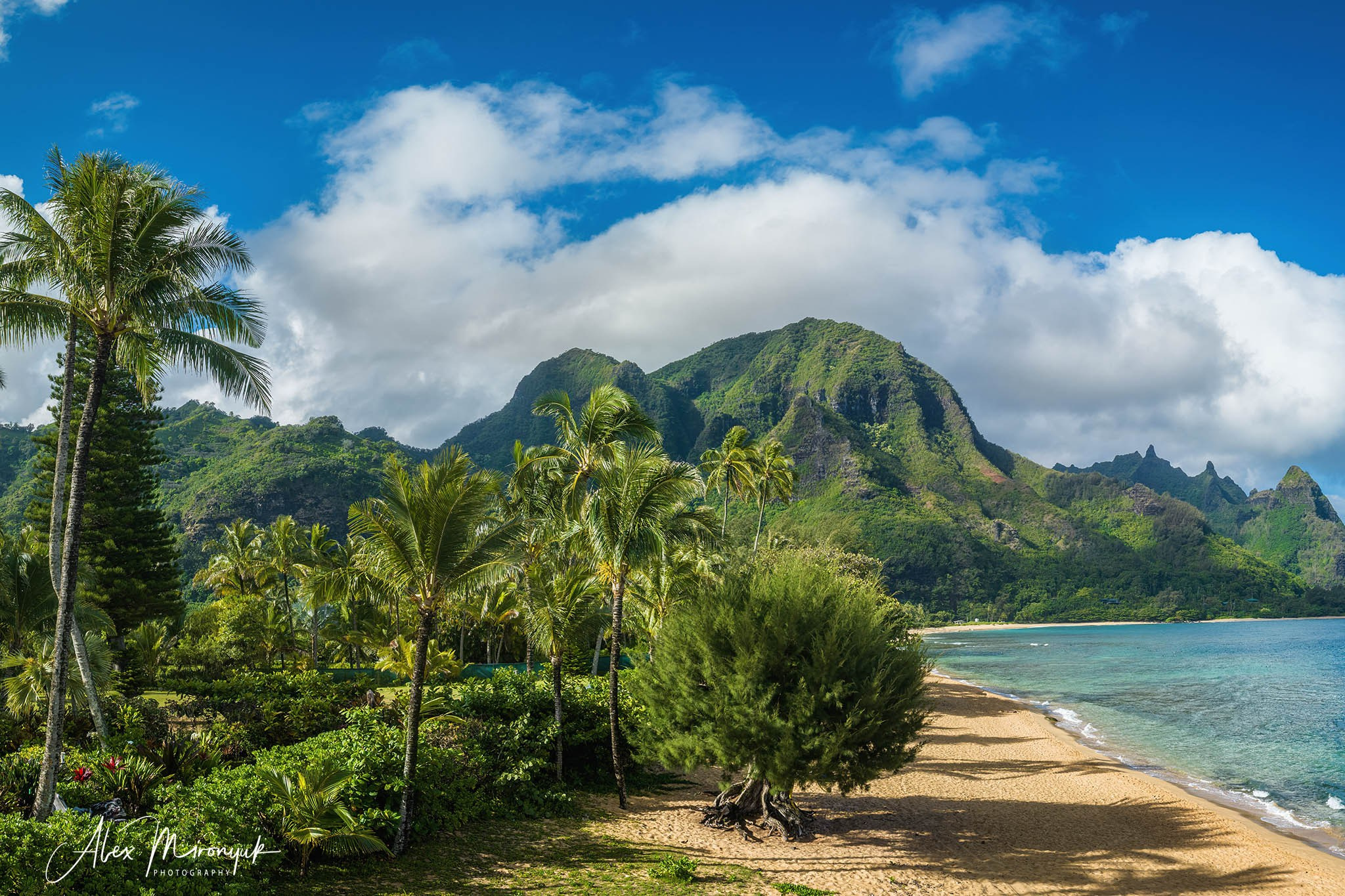 Kauai Photo Workshop