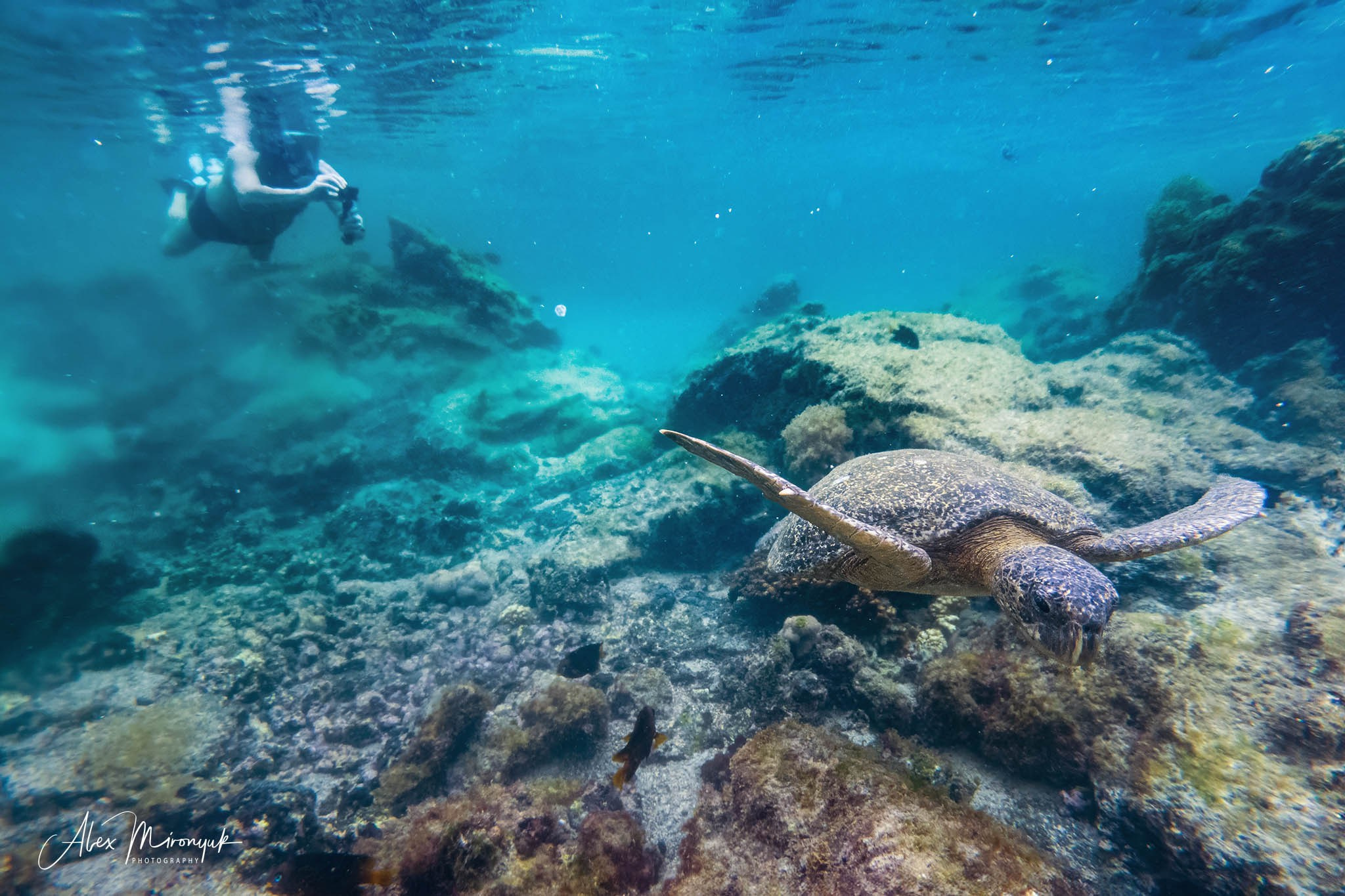 Galapagos Islands Adventure. Alex Mironyuk Photography
