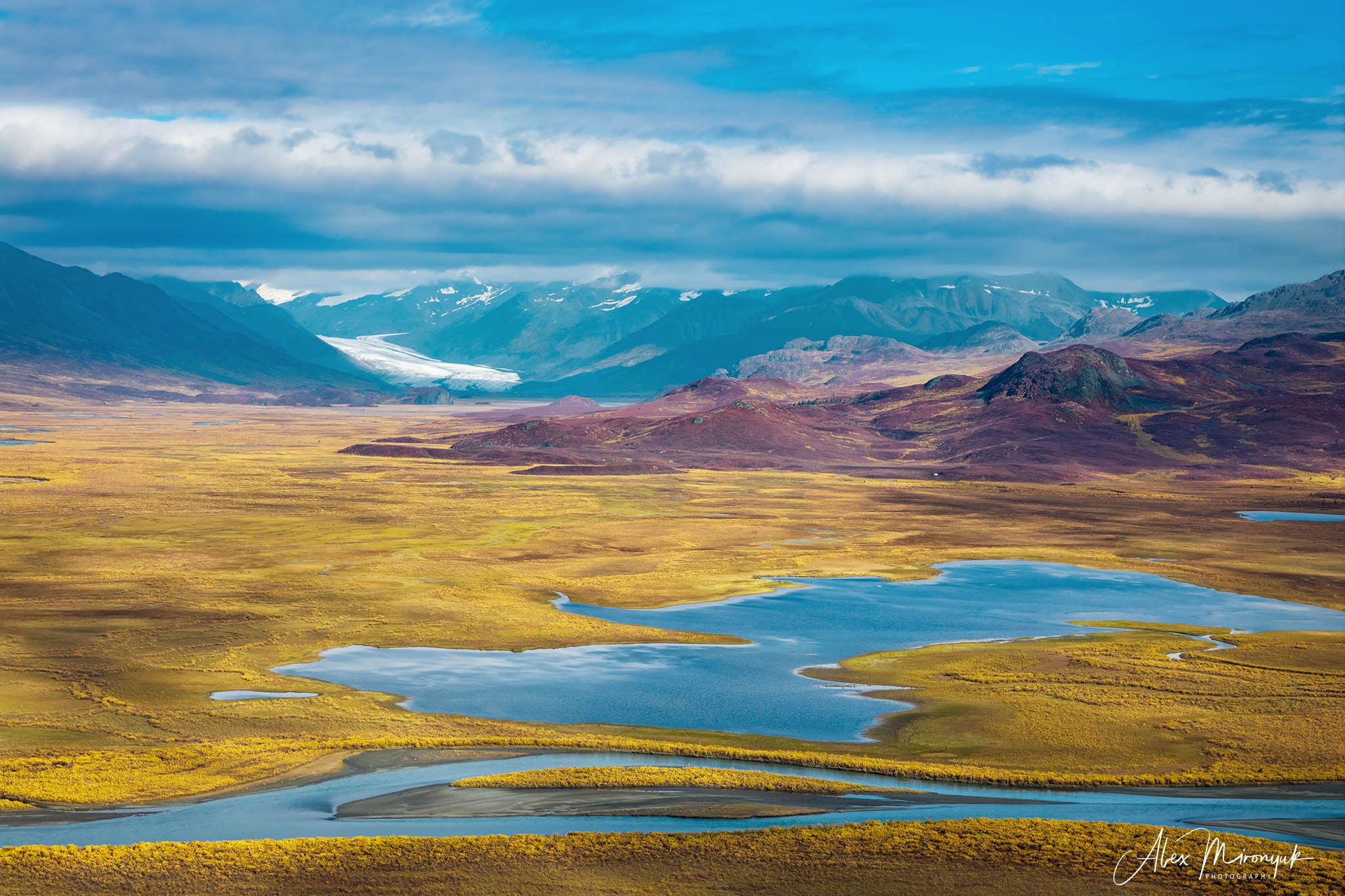 Alaskan Fall Colors. Pet, Senior, Landscape, portrait studio, photographer in Miami and Sou