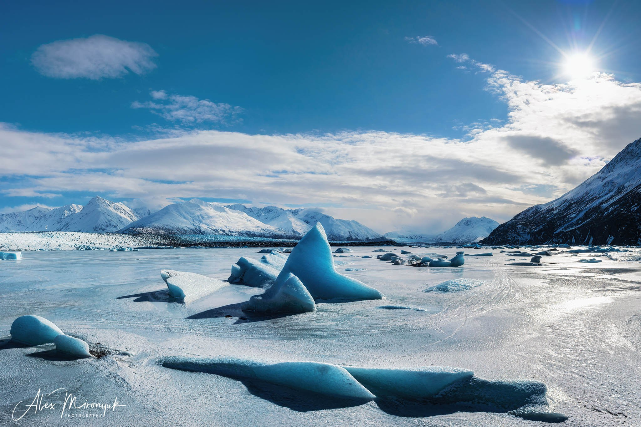 Chasing the Aurora Borealis. Pet, Senior, Landscape, portrait studio, photographer in Miami and Sou