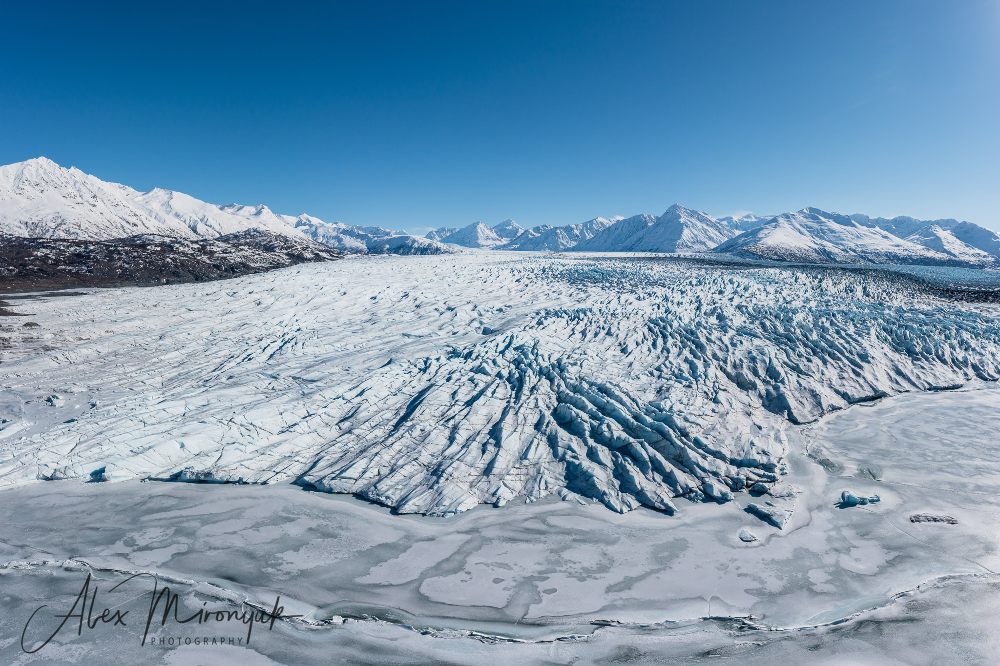 Chasing the Aurora Borealis. Pet, Senior, Landscape, portrait studio, photographer in Miami and Sou