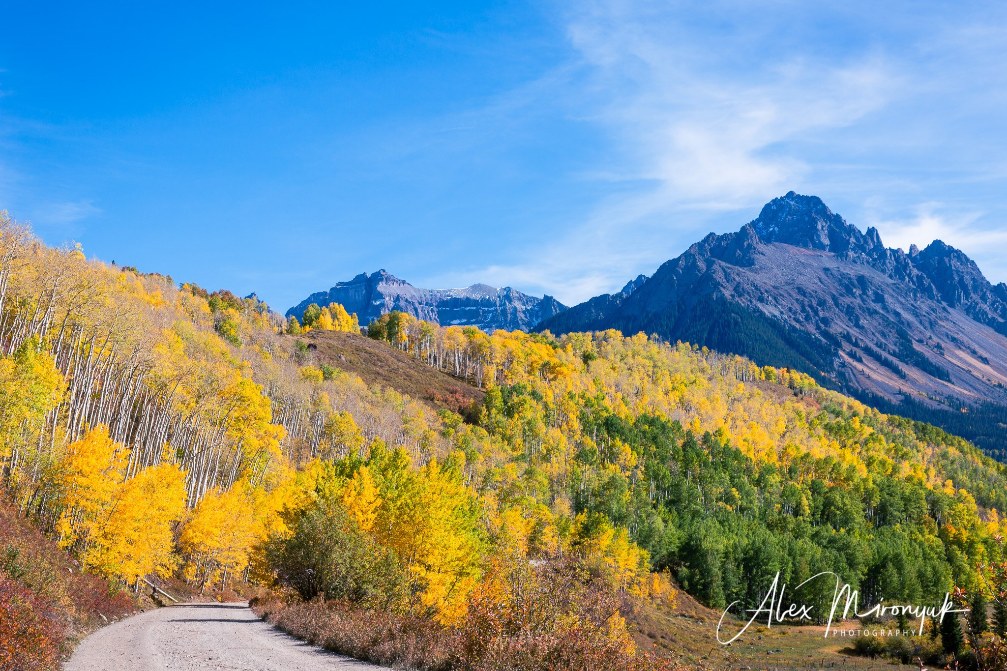 Fall Colors Of Colorado. Pet, Senior, Landscape, portrait studio, photographer in Miami and Sou