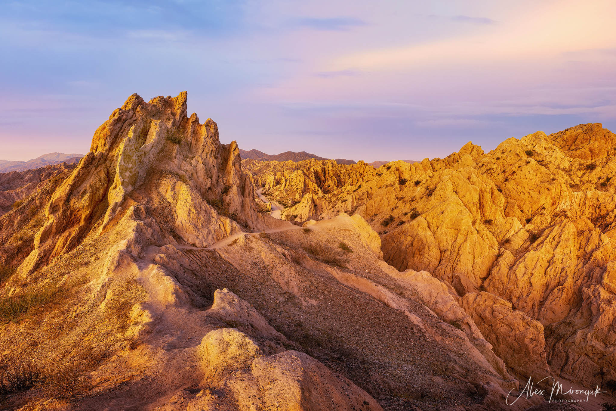 Northern Argentinian Adventure. Pet, Senior, Landscape, portrait studio, photographer in Miami and Sou