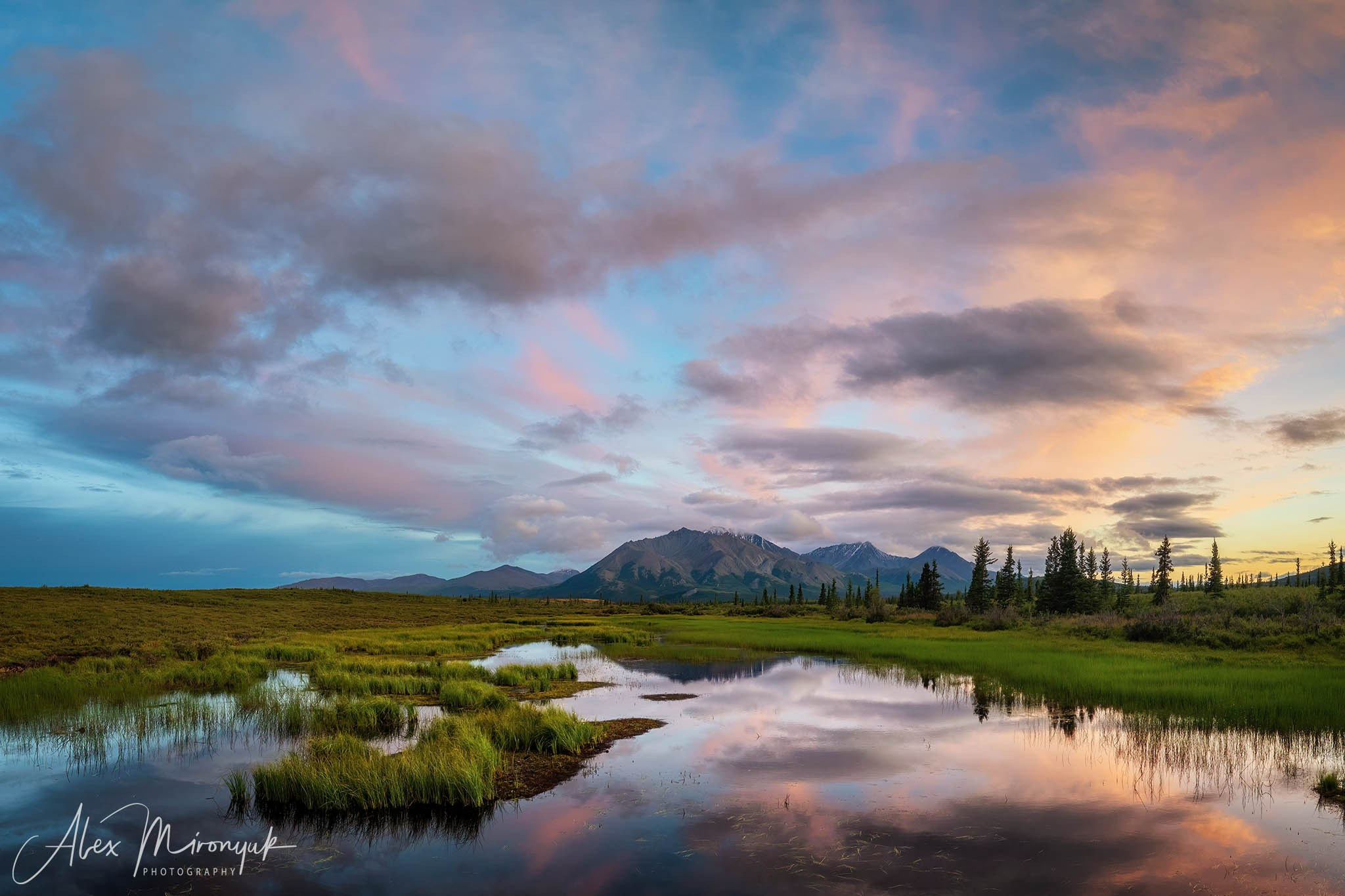 Magnificent Ice. Alaska on RV. Pet, Senior, Landscape, portrait studio, photographer in Miami and Sou