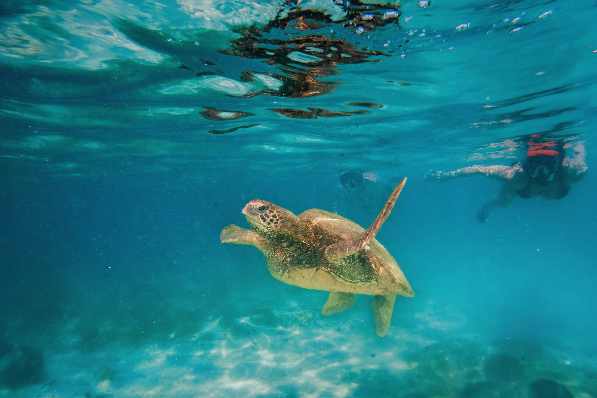 Galapagos Islands Adventure. Alex Mironyuk Photography