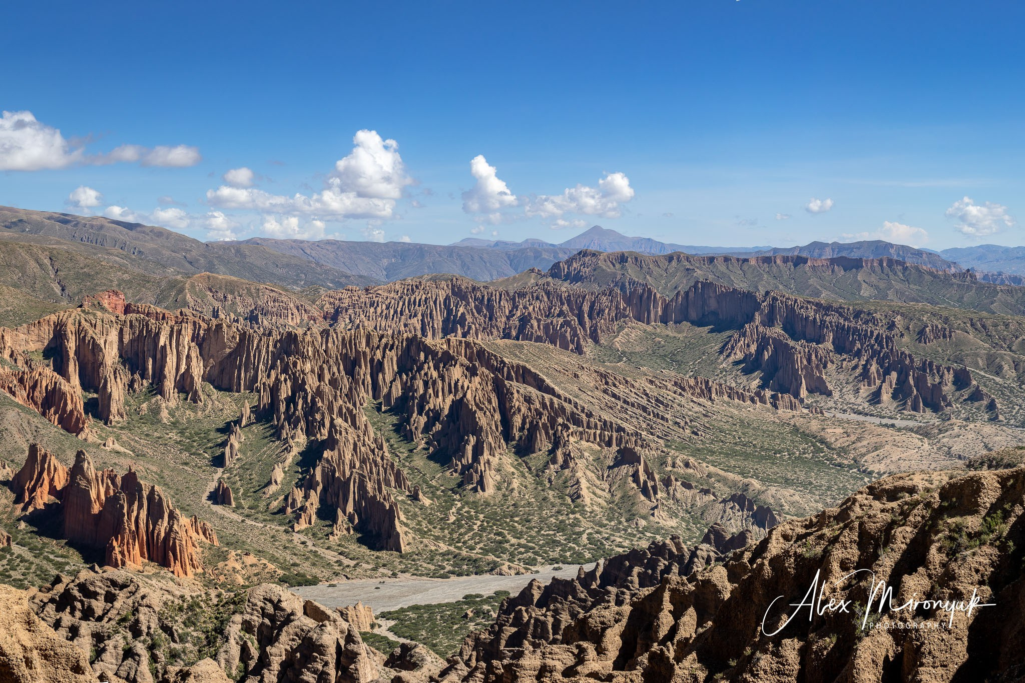 Bolivia Adventure — 2025. Pet, Senior, Landscape, portrait studio, photographer in Miami and Sou