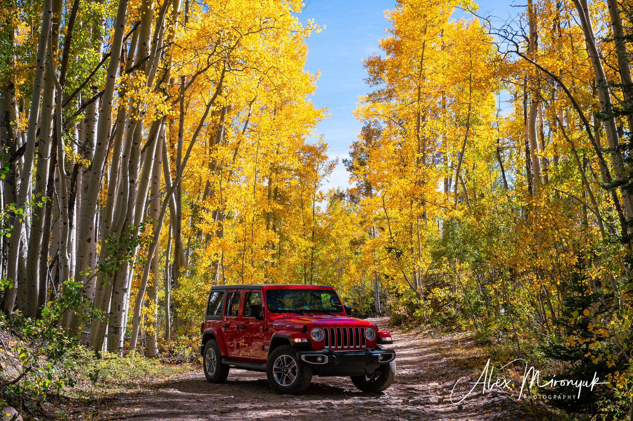 Fall Colors Of Colorado. Pet, Senior, Landscape, portrait studio, photographer in Miami and Sou