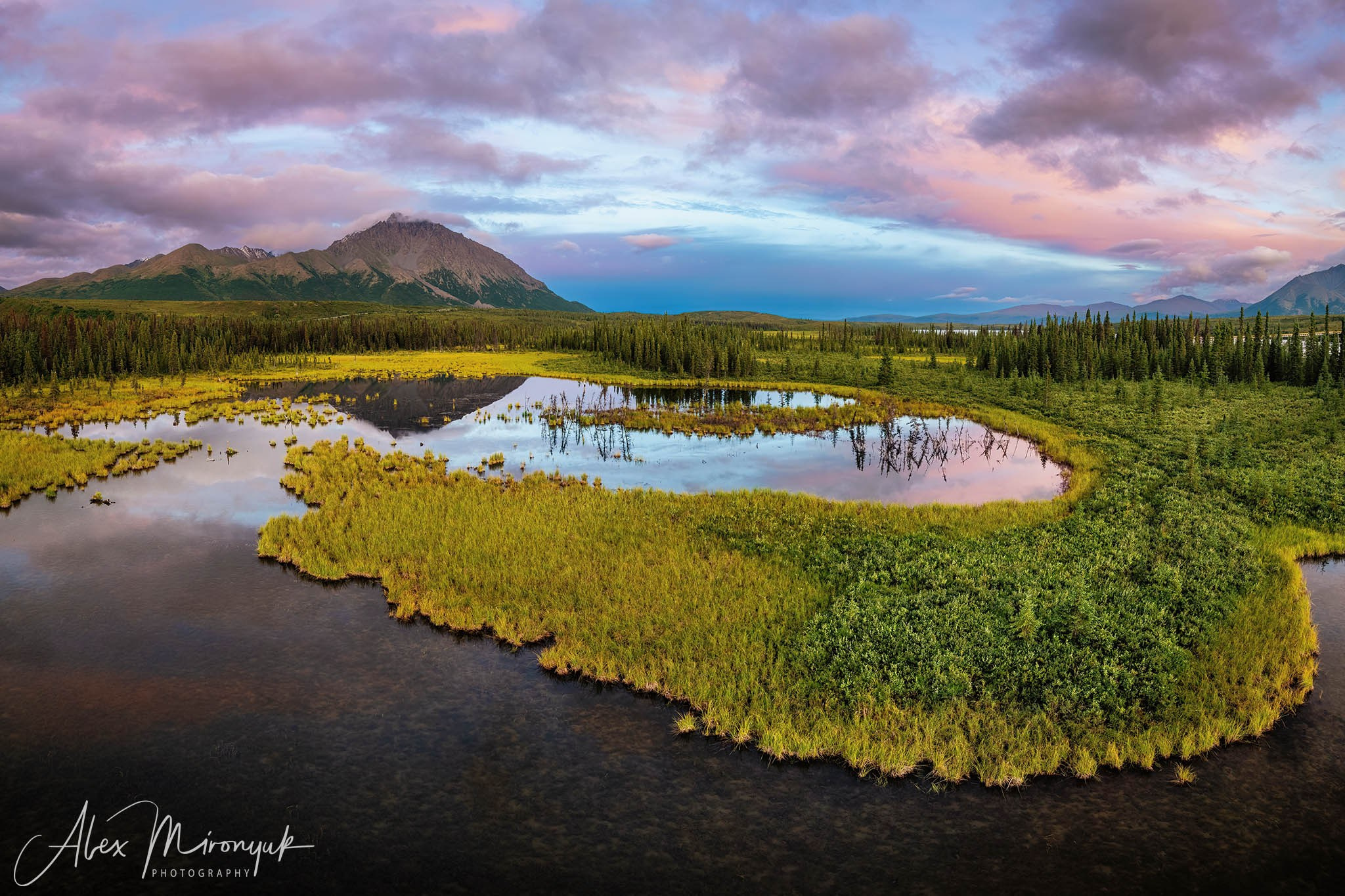 Magnificent Ice. Alaska on RV. Pet, Senior, Landscape, portrait studio, photographer in Miami and Sou