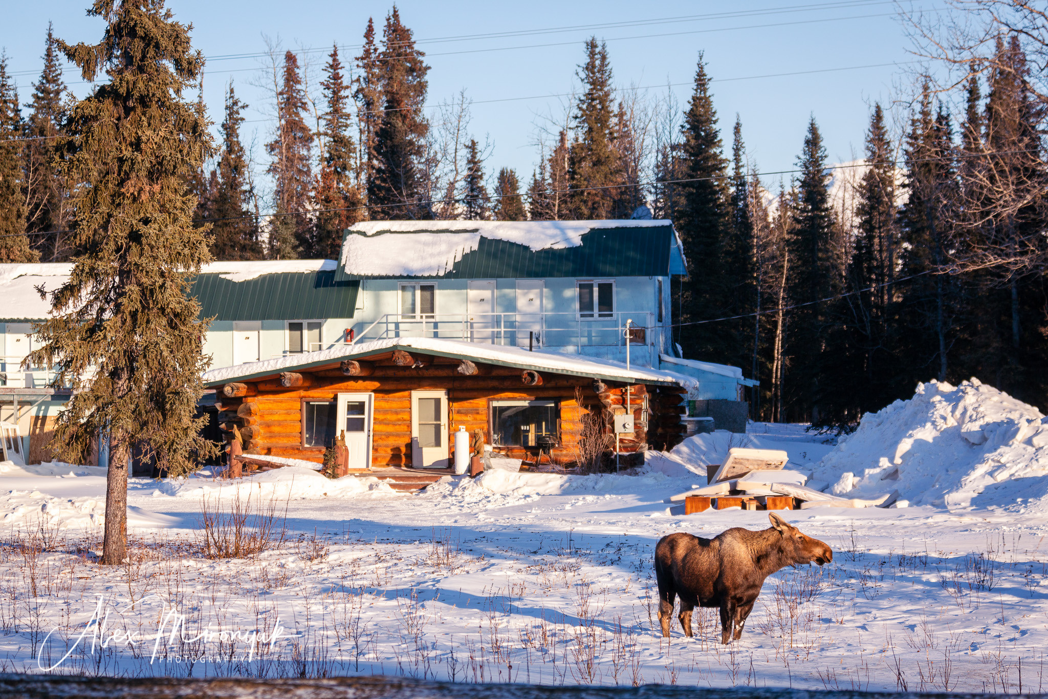 Ice Caves Adventure. Pet, Senior, Landscape, portrait studio, photographer in Miami and Sou