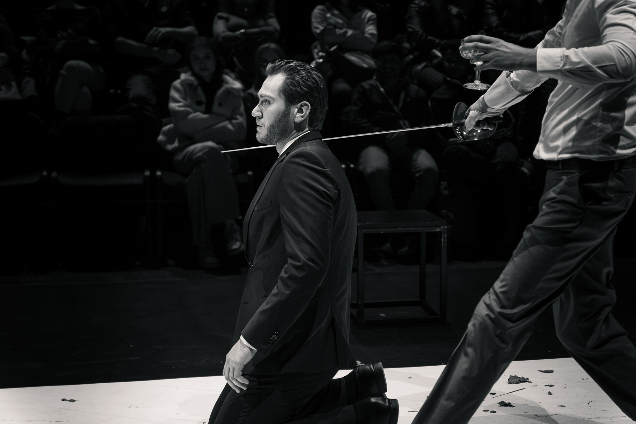 Vlad Udrescu Hamlet silviu purcarete Catalin Glavan fotograf craiova teatru national