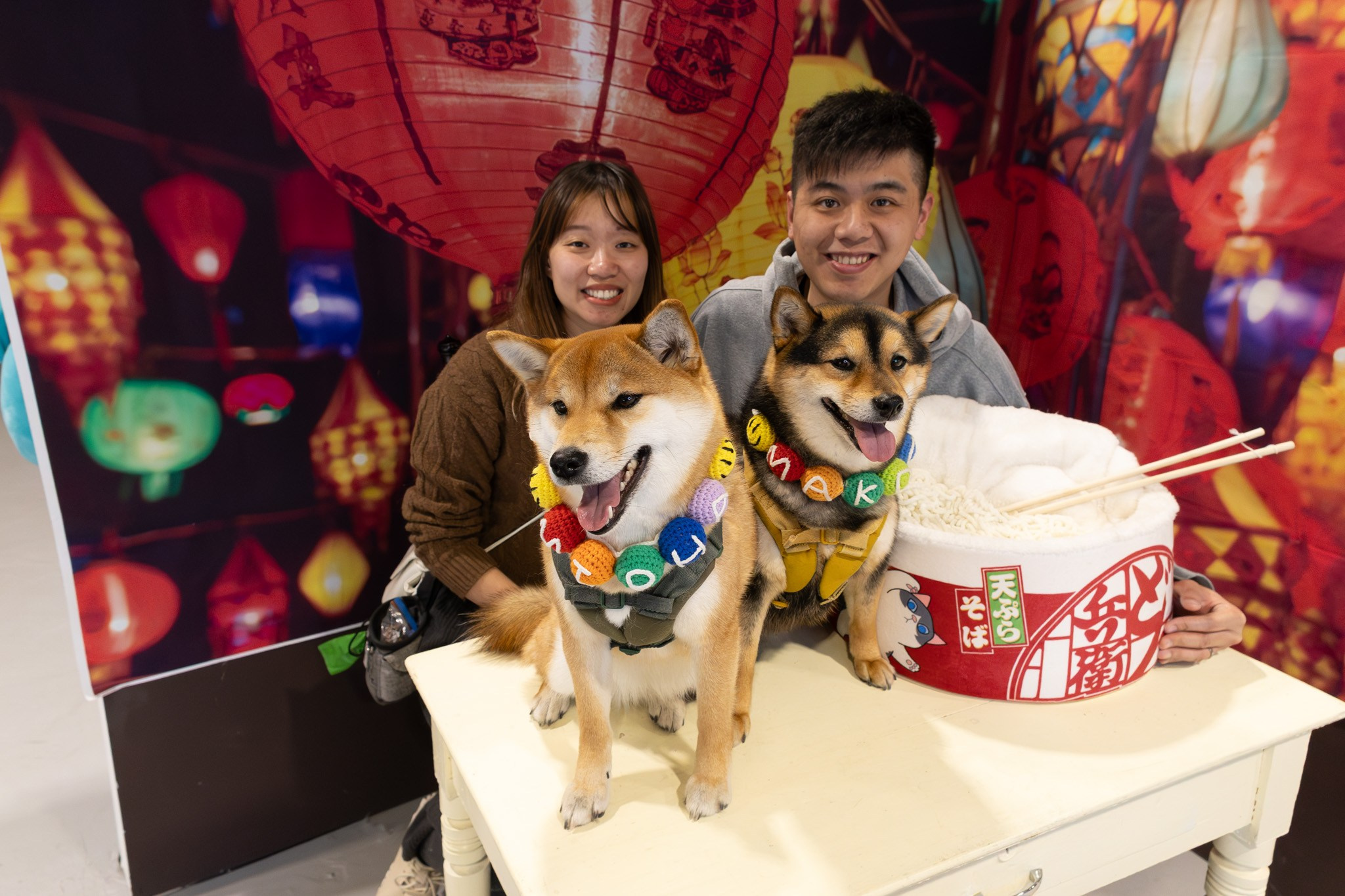 2025 SHIBA SQUAD SELFIE EVENT. ProFly.club — Professional aerial filming in Calgary