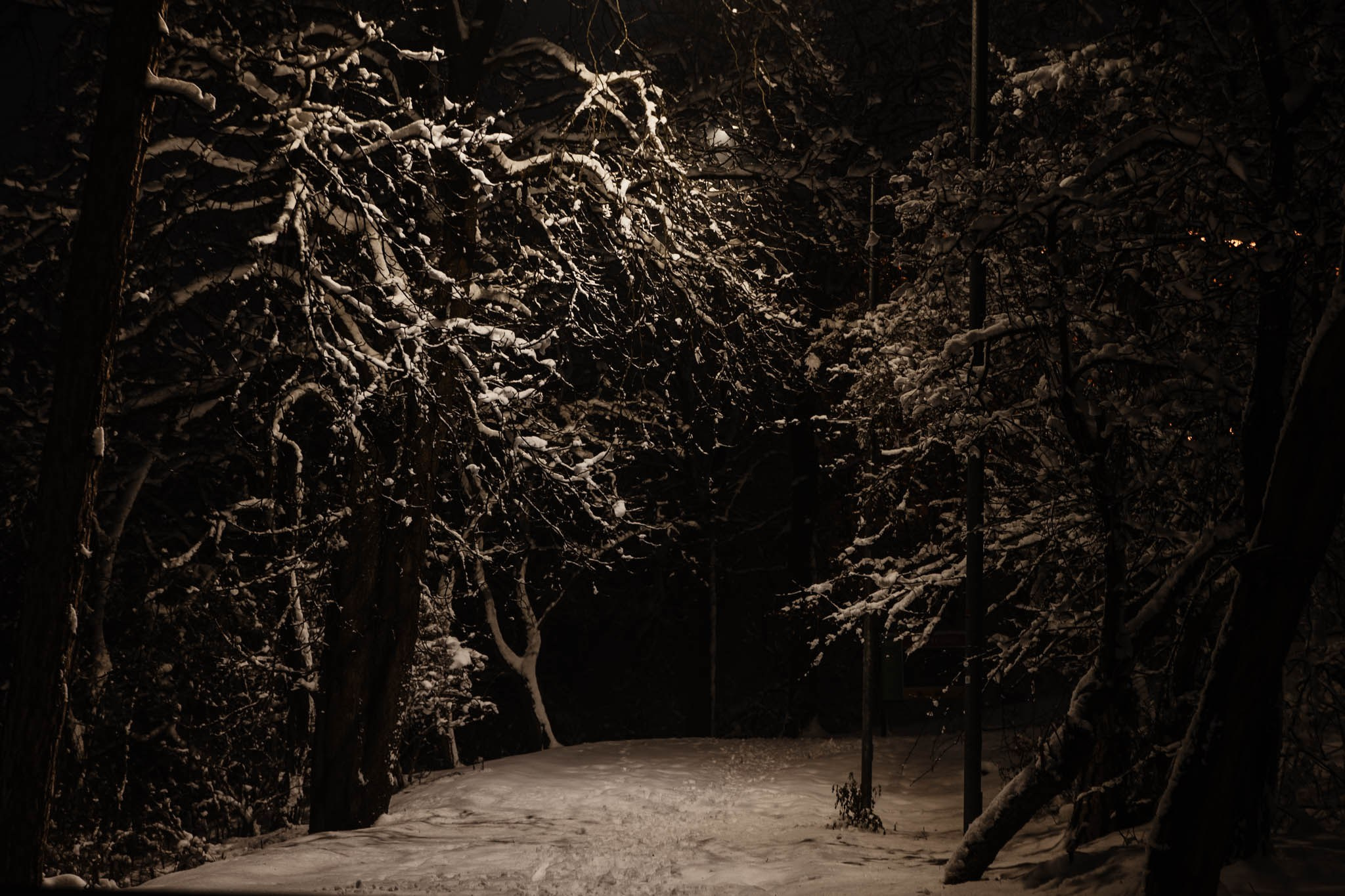 -5°C si 20cm ZAPADA | O DRUMETIE CU MULTE PERIPETII IN IANUARIE