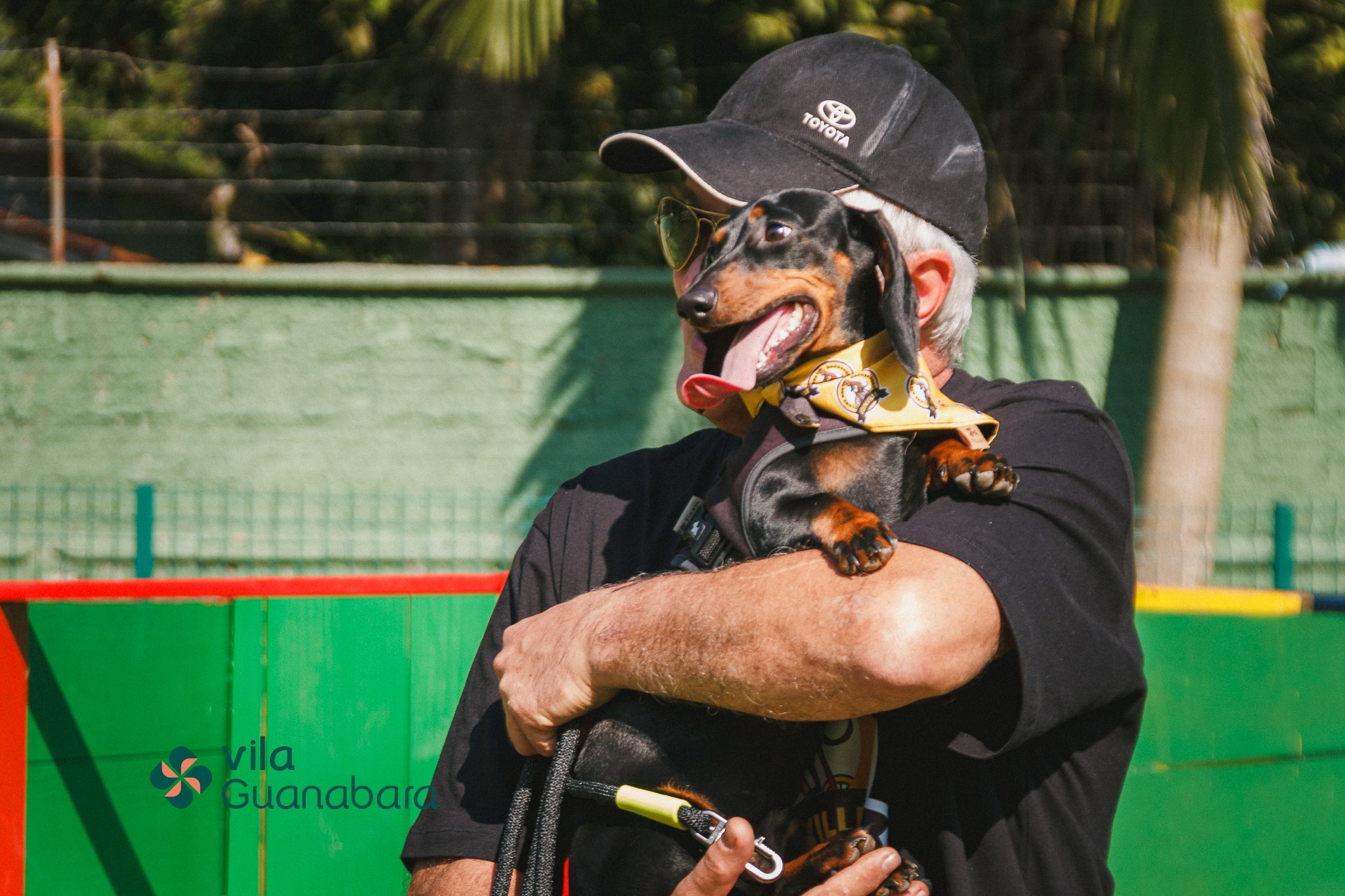 Qualidade de vida e bem-estar do Dachshund. Marcus Monteiro Fotografia