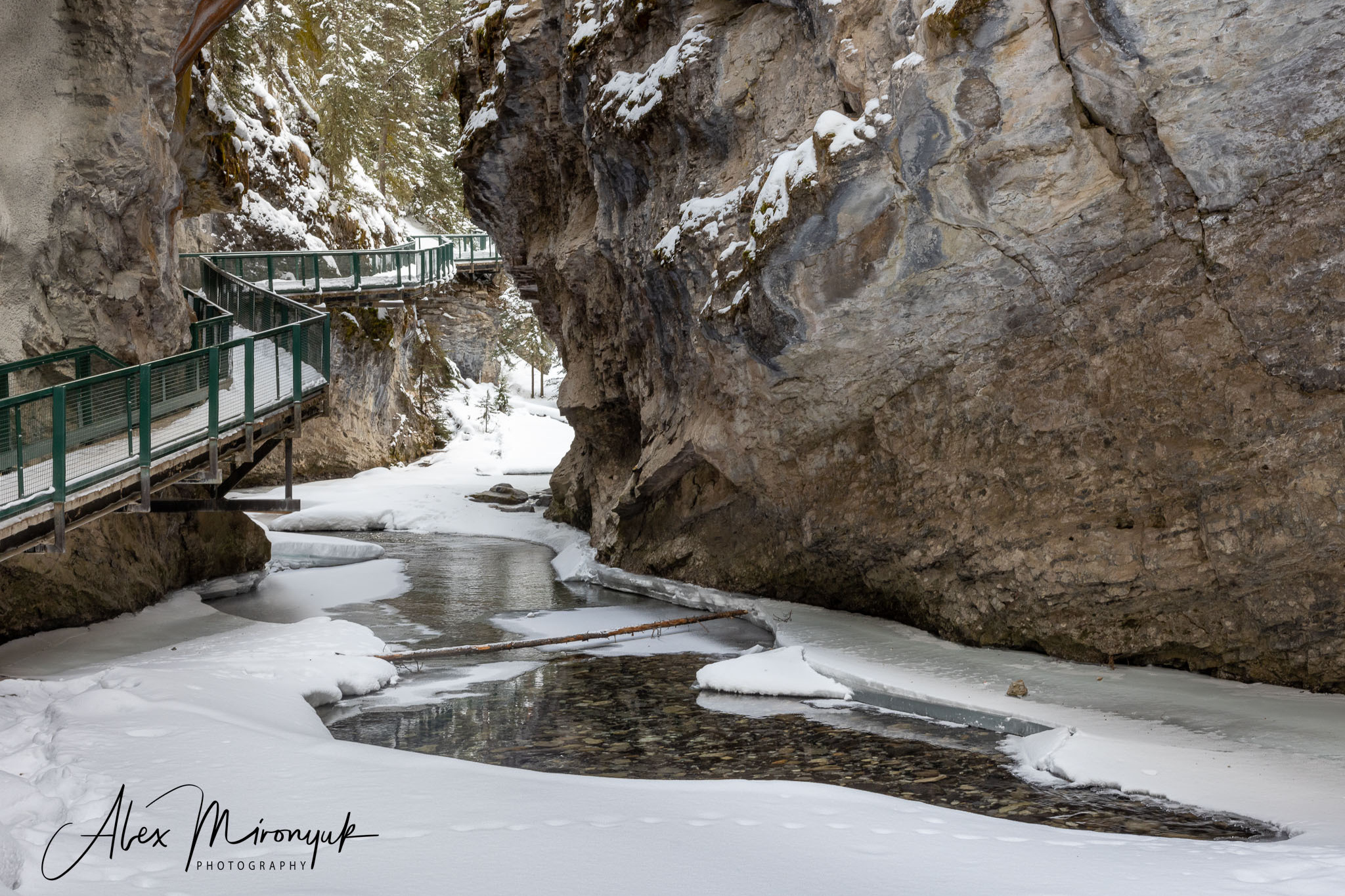 Photographing Winter Wonderland — Canada. Pet, Senior, Landscape, portrait studio, photographer in Miami and Sou