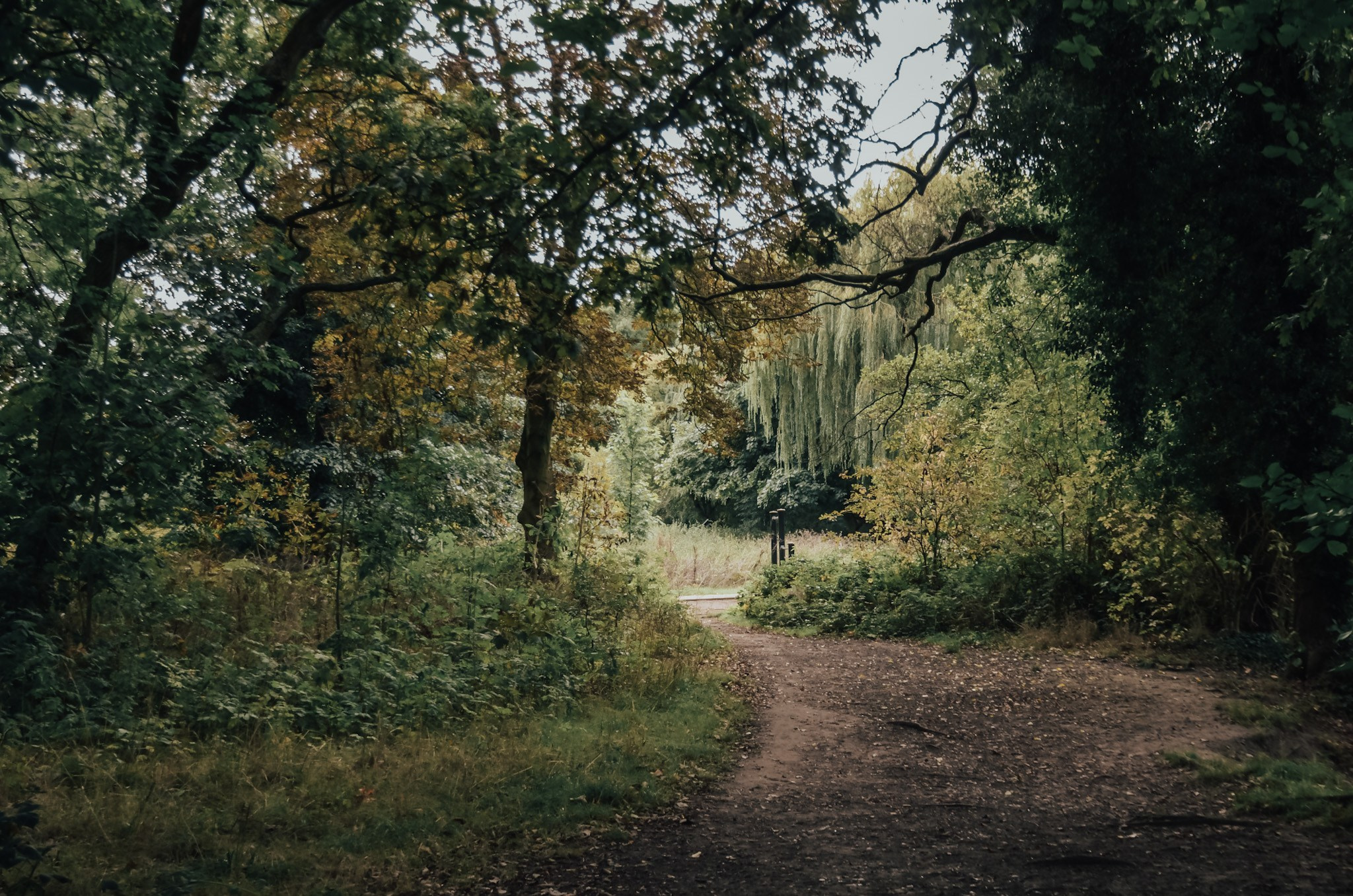 Peaceful woodland path in Elmdon Park Solihull, beautiful nature location for outdoor family photoshoot