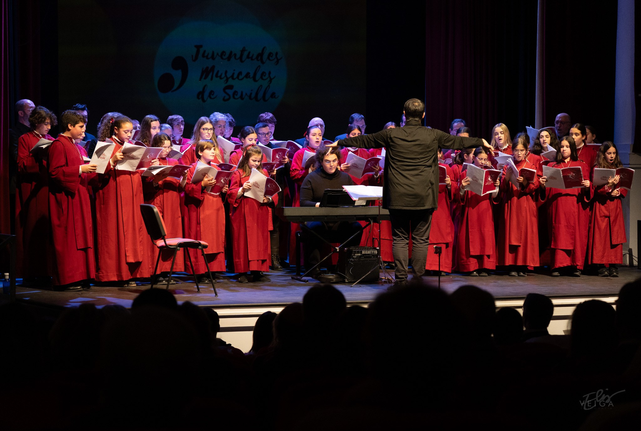 Conciertos. Elisveiga