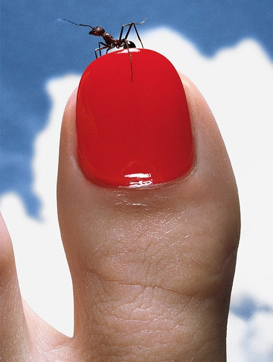 Из истории фотографии