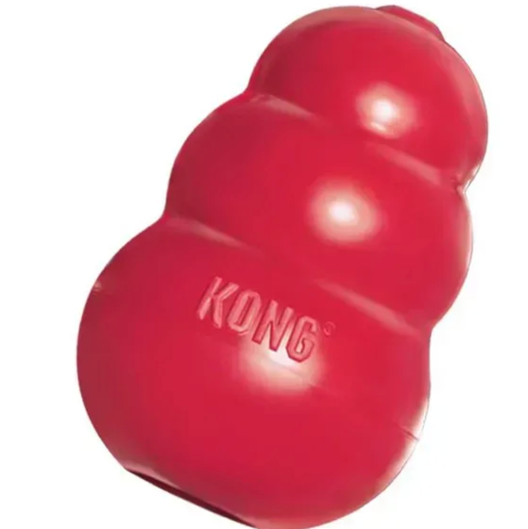 Подарунки. Фотограф-анімаліст Київ