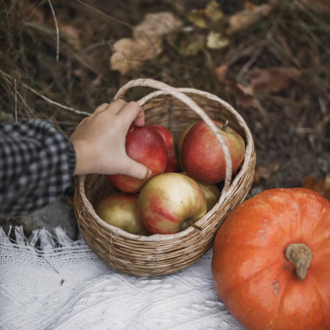 Galerie. Familien, Kinder und Portrait Fotografie Nürnberg Erlangen Eckental