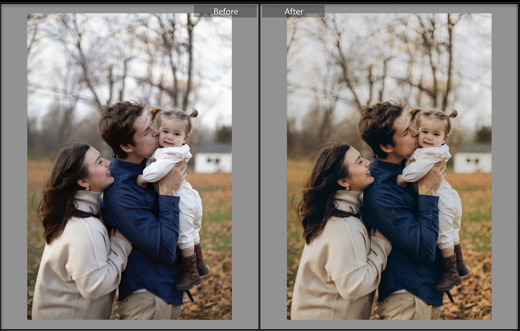 Preset. Wedding Photographer Toronto