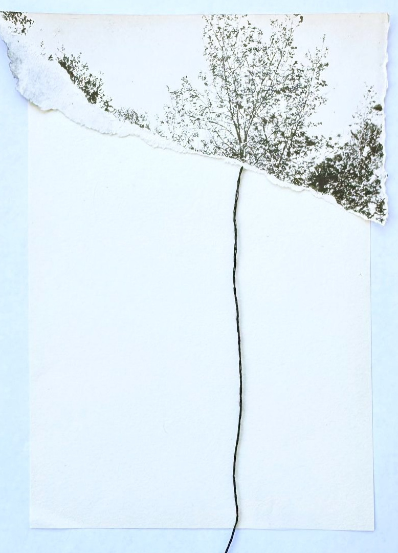 Collages. Natalia Naletova — artist and researcher working with textile, collage & memory