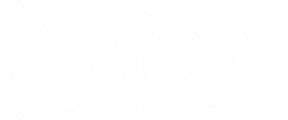 dgallery.pt