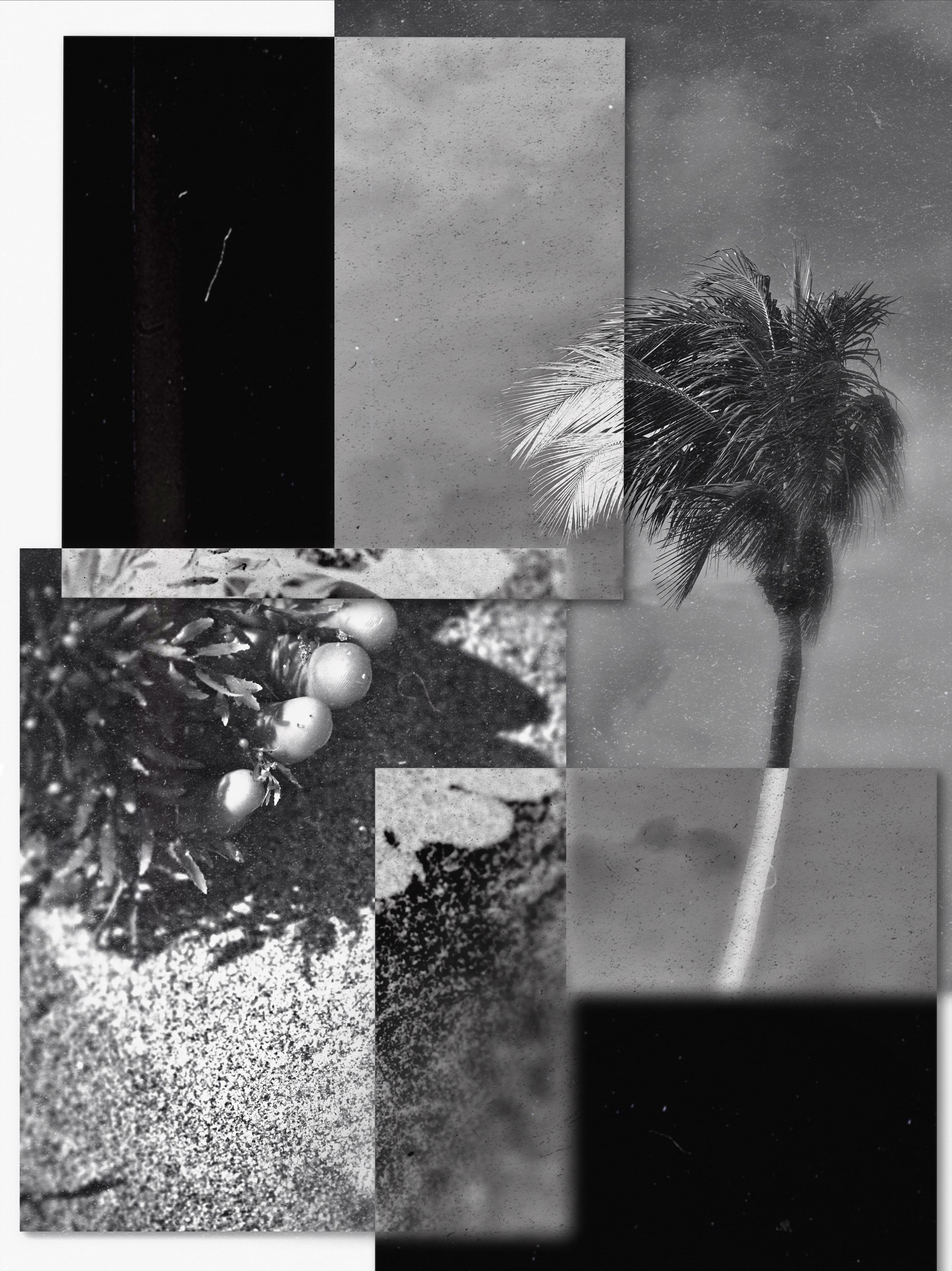 MAN. Mixed media artist, photographer, visual artist New York