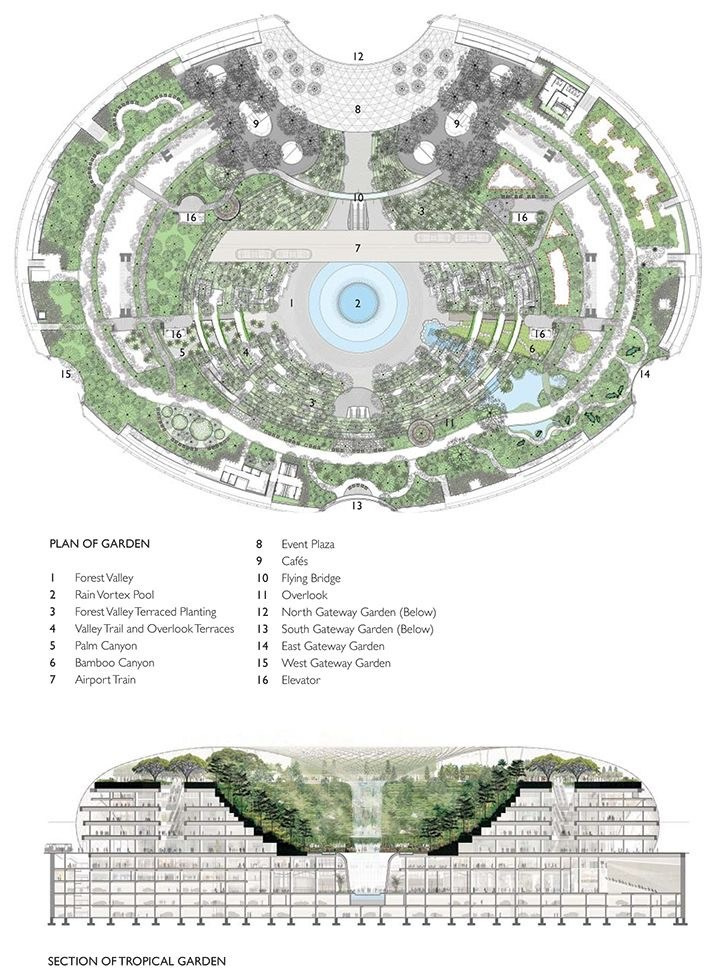 Jewel Changi. Dasha in Singapore