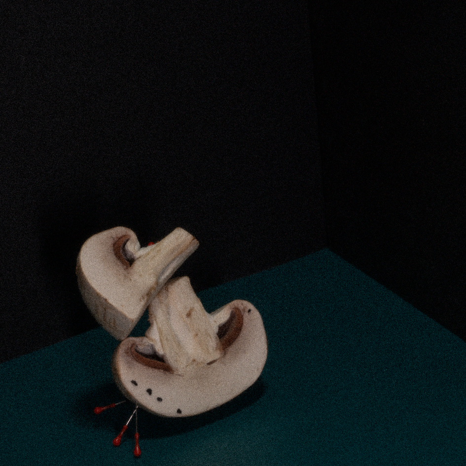 Factory (2023). Ant | photo