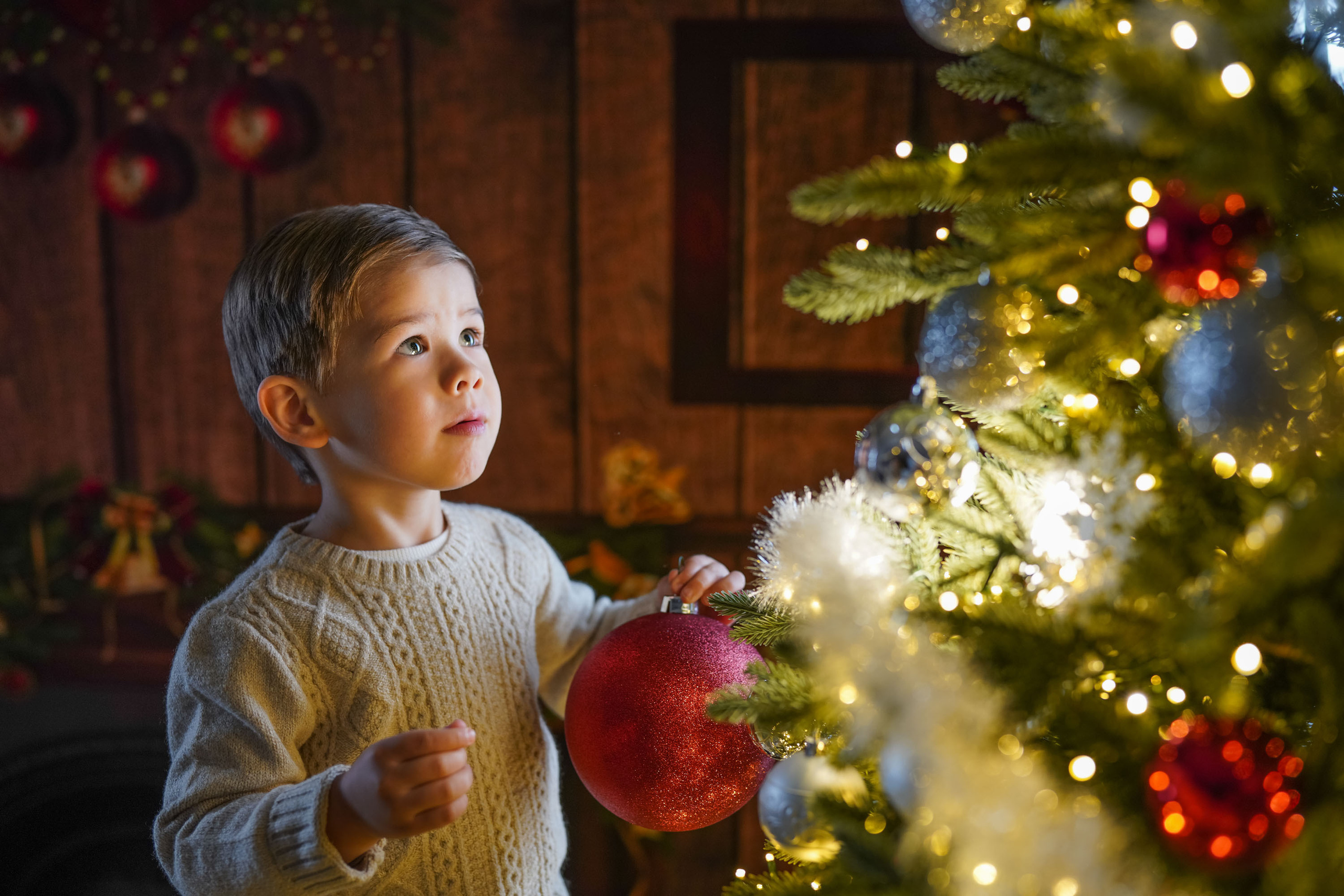 Christmas Photoshoots in Houston!. Photographer Irina Kozhemyakina. Houston