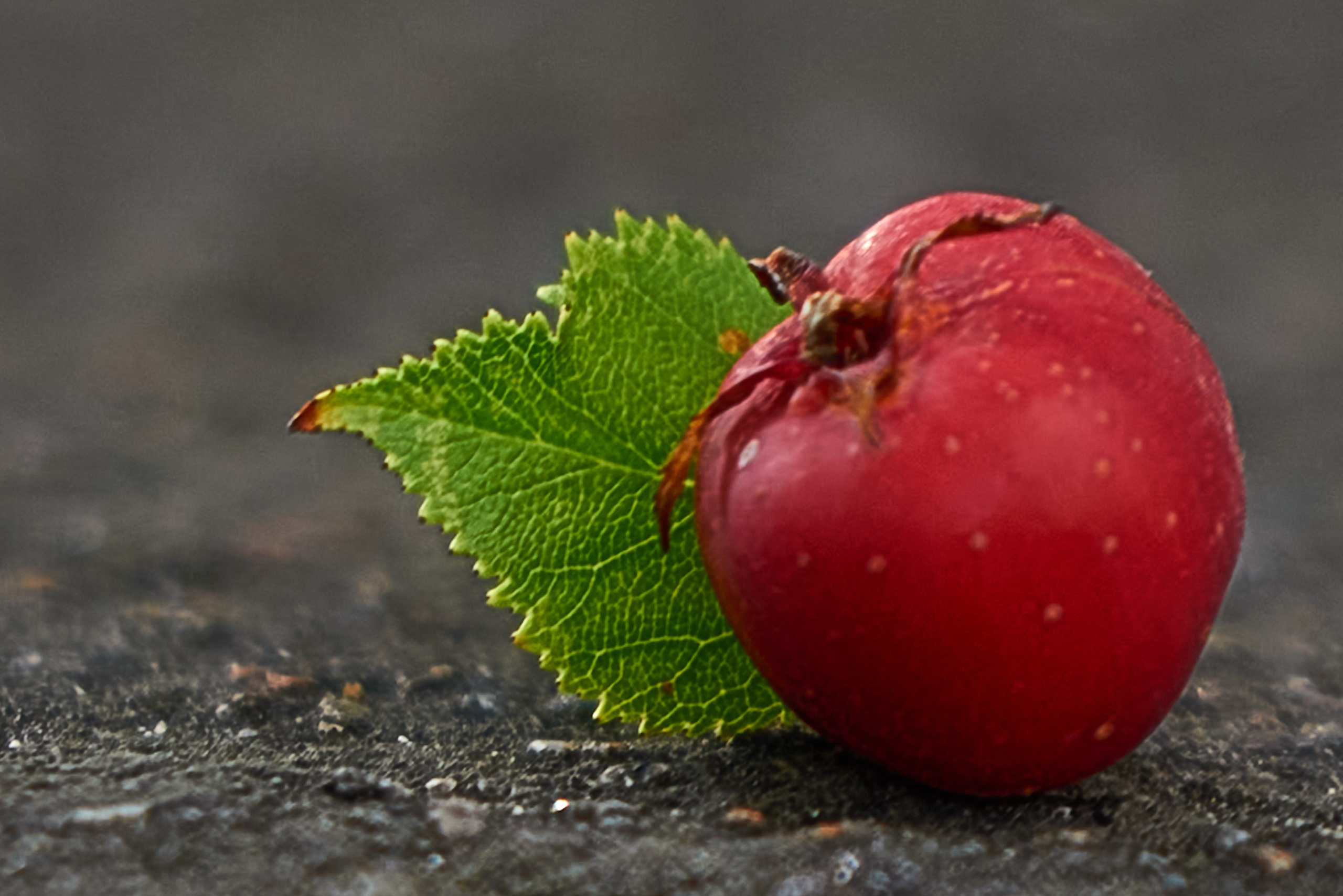 Красное яблоко с зеленым листком на земле.