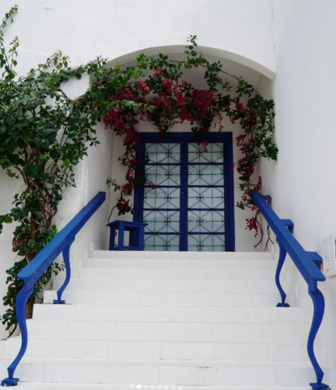 Onde Fazer Ensaio Fotográfico em Brasília? Confira Essas Indicações Perfeitas para Fotos Profissionais. Fotógrafo de Brasília | Vini Fotógrafo: Especialista em Casamentos, Ensaios e Eventos